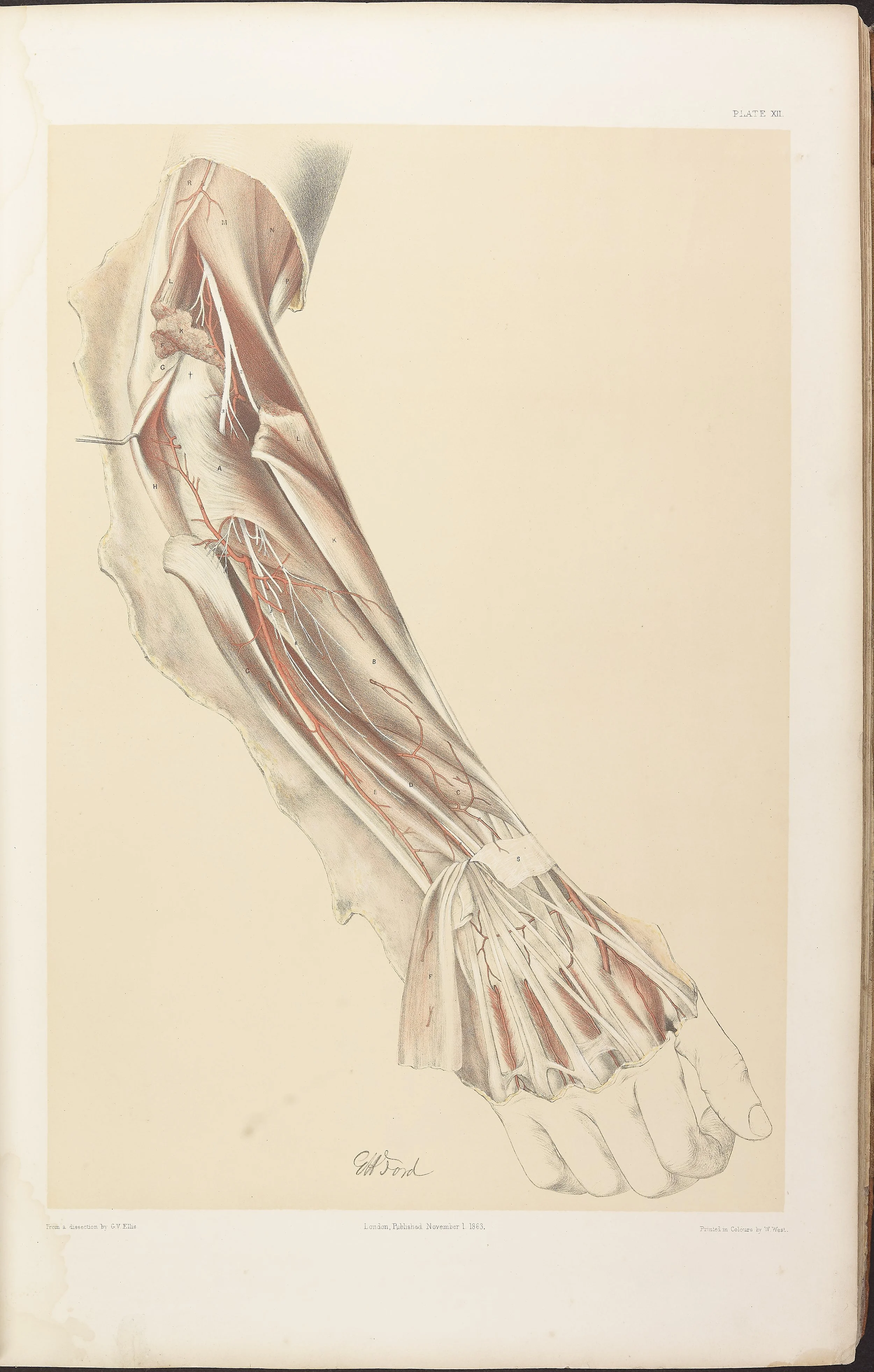 RM0161_014.jpg