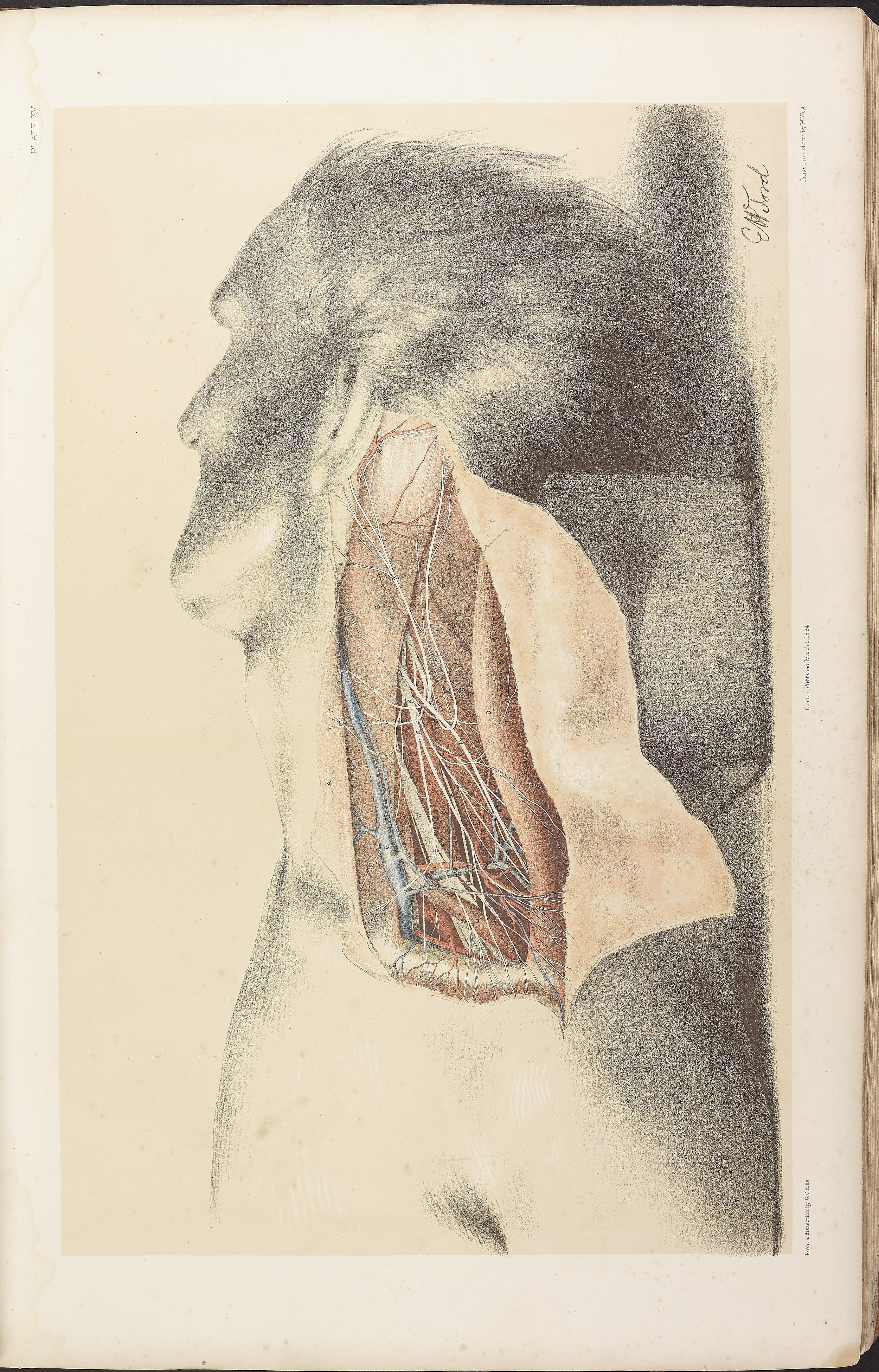 RM0161_017.jpg