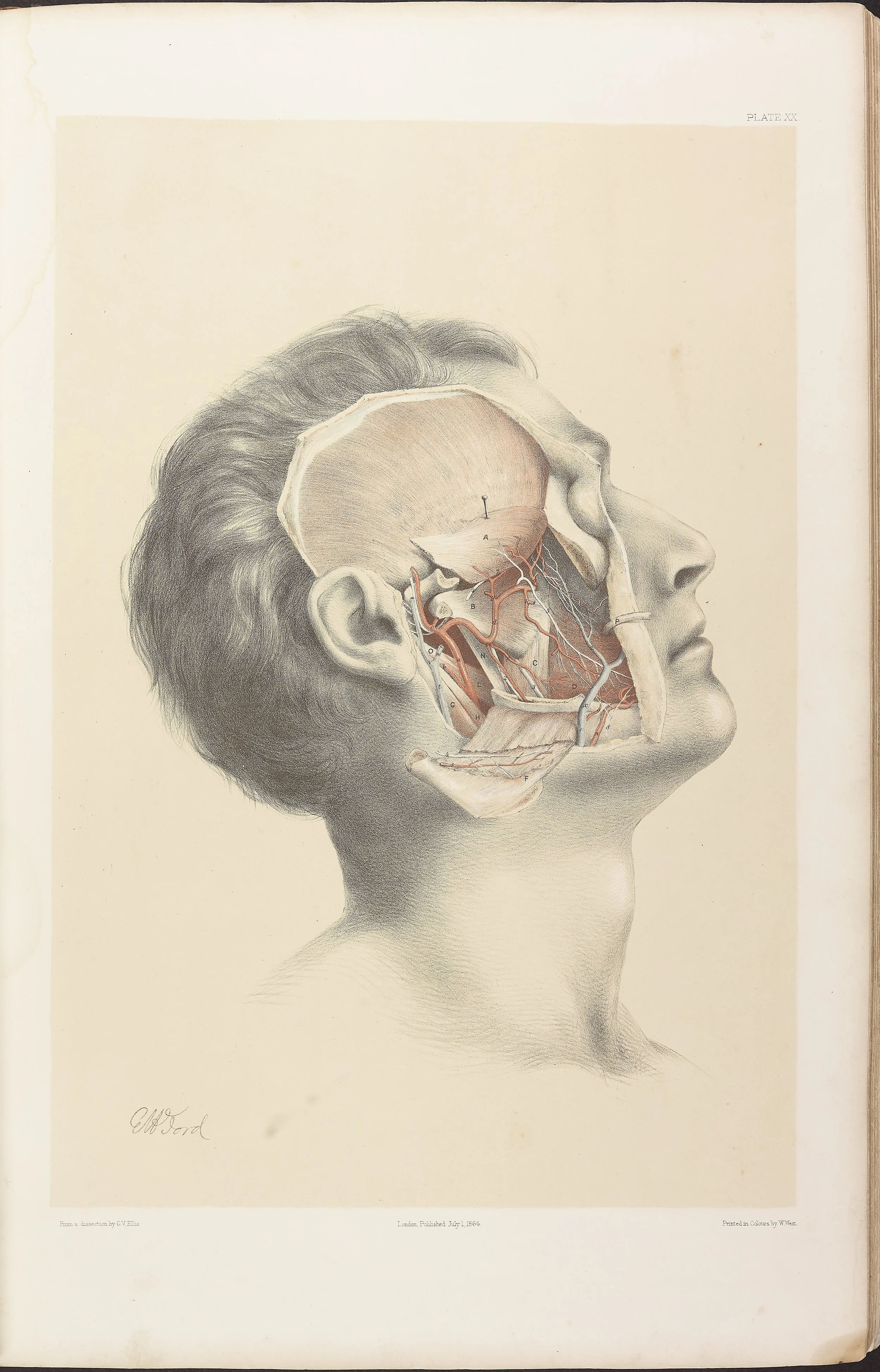 RM0161_022.jpg