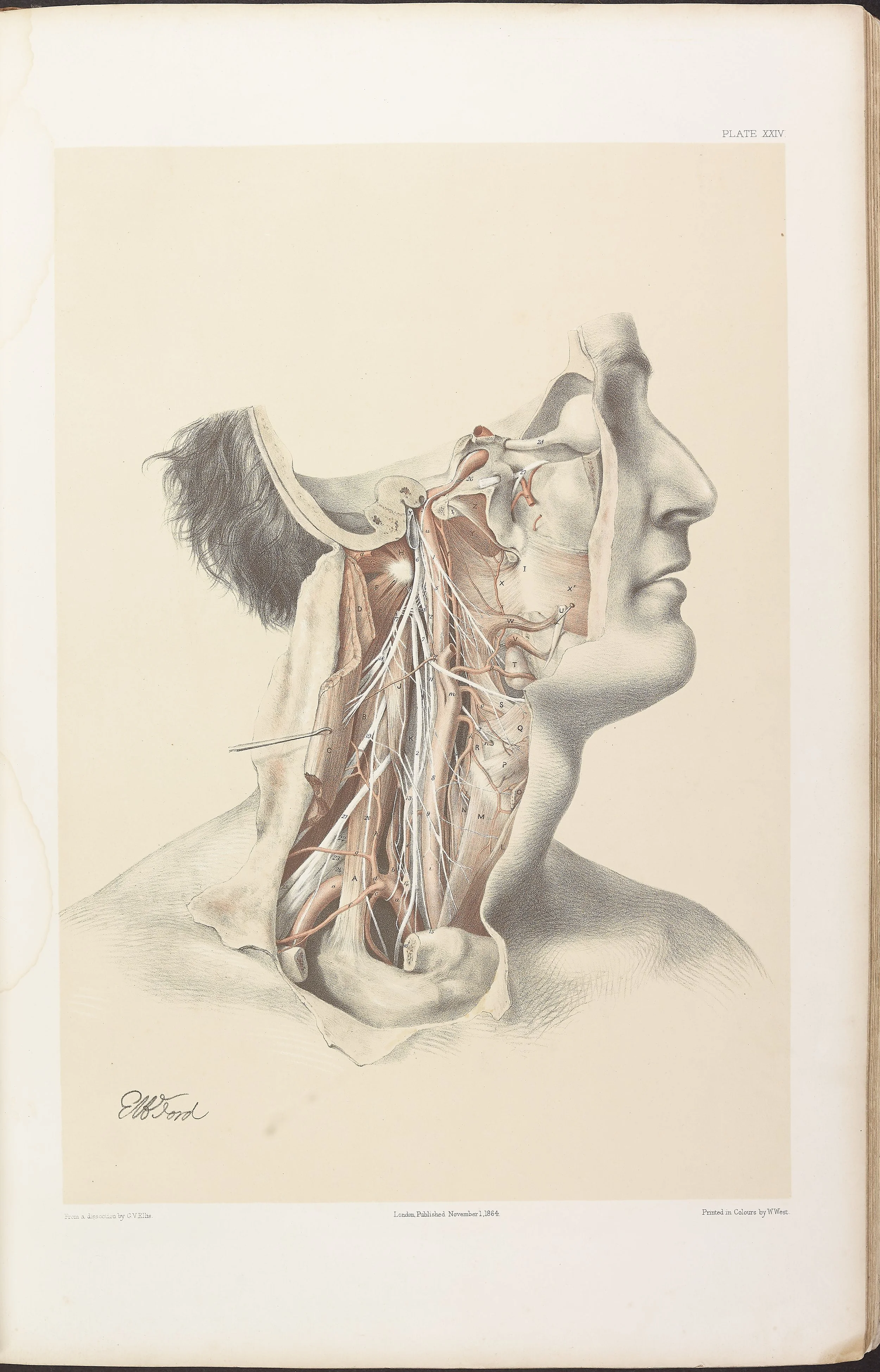 RM0161_026.jpg