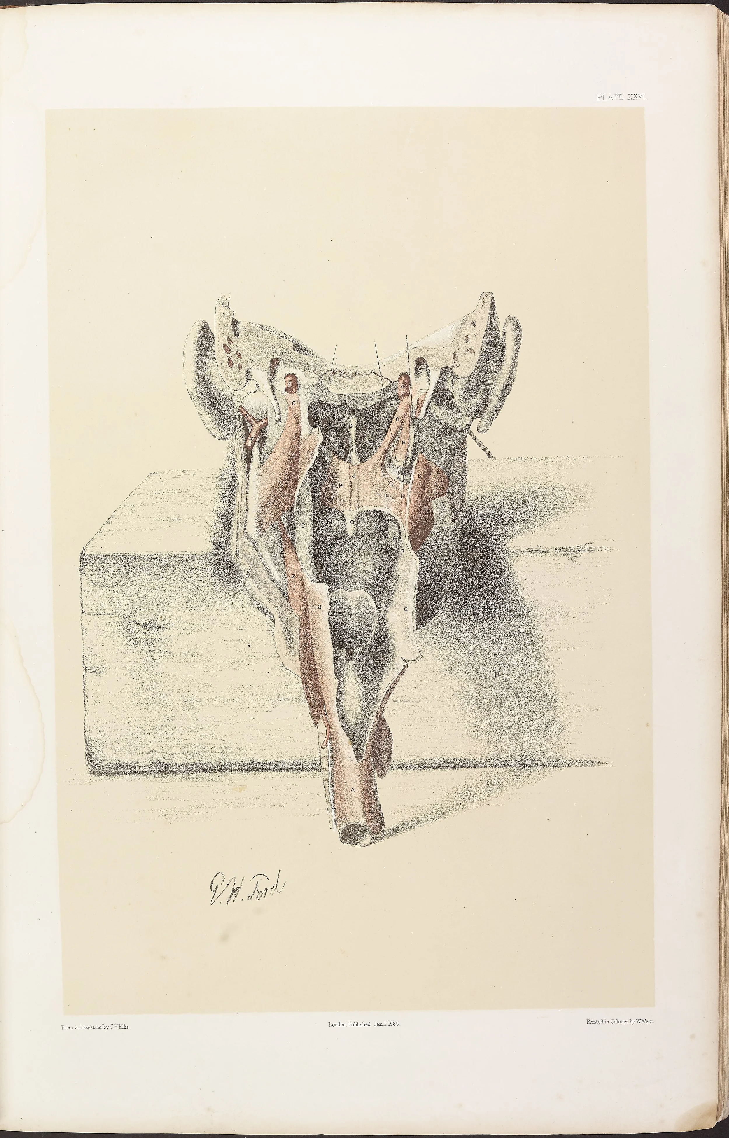 RM0161_028.jpg