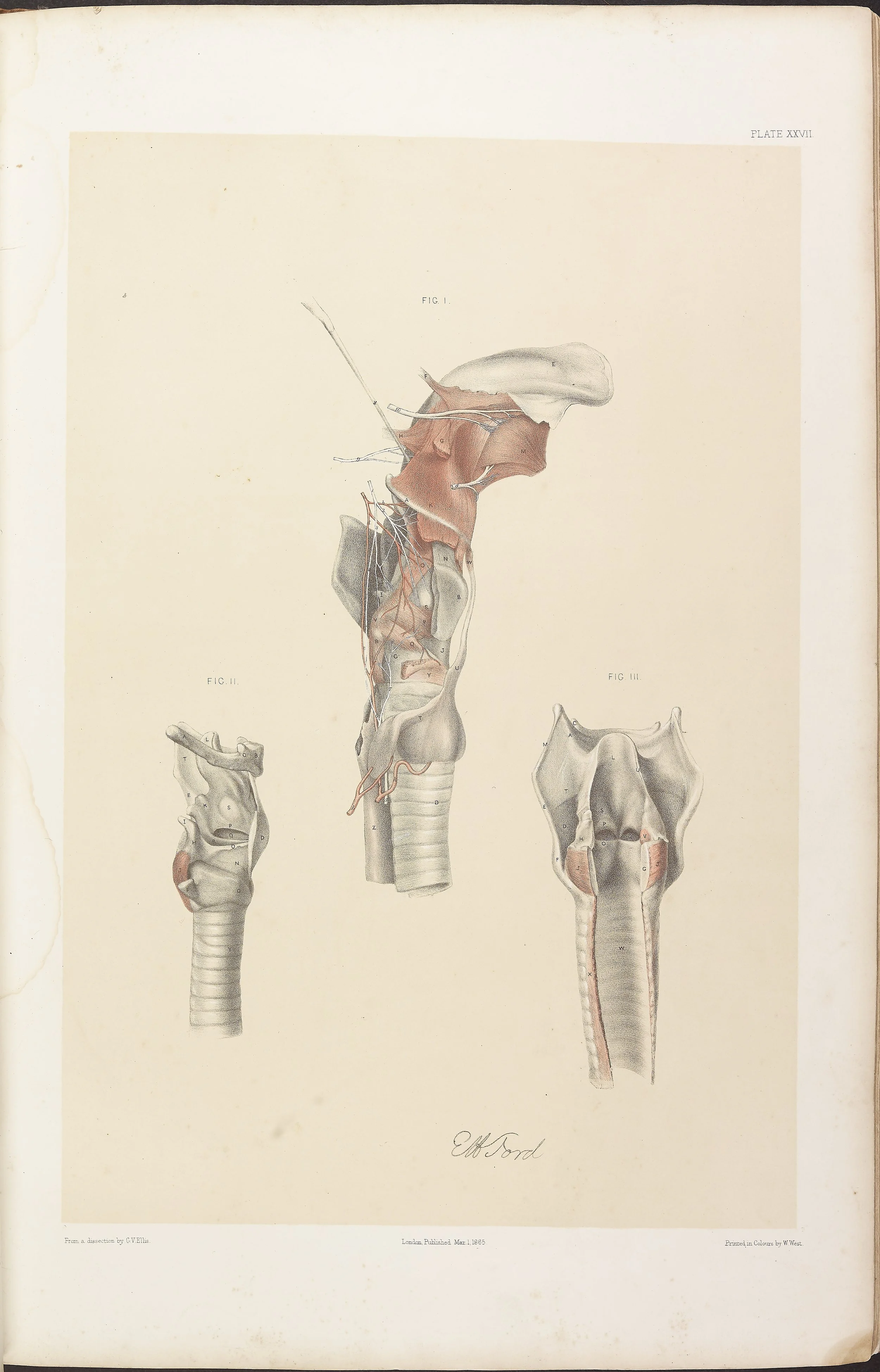 RM0161_029.jpg