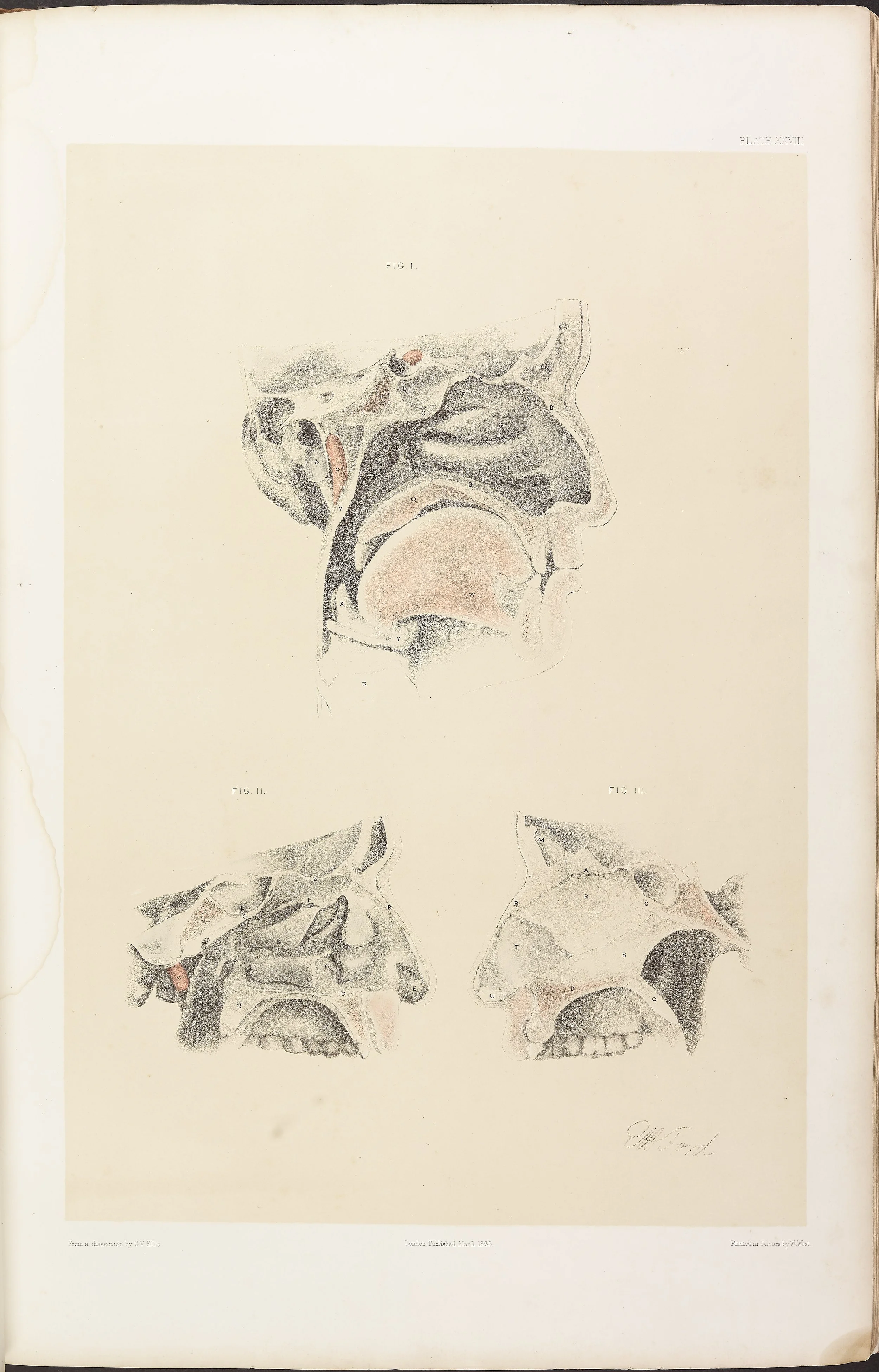 RM0161_030.jpg