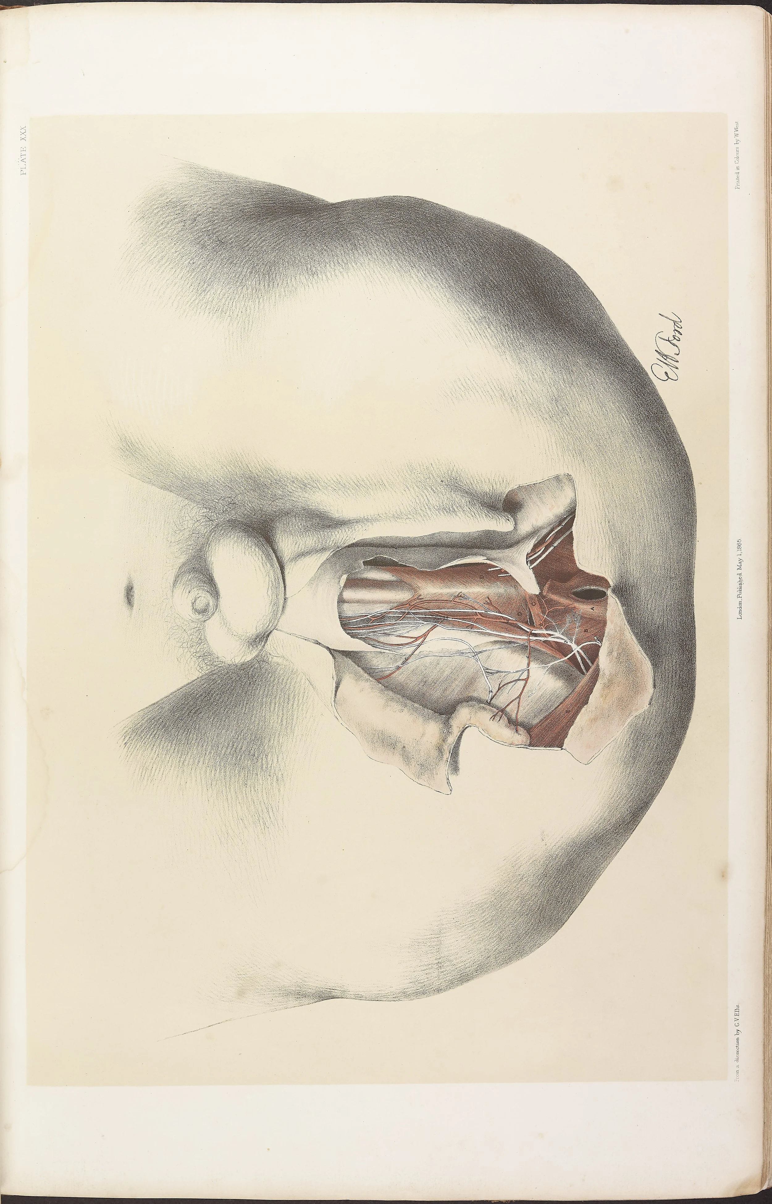 RM0161_032.jpg