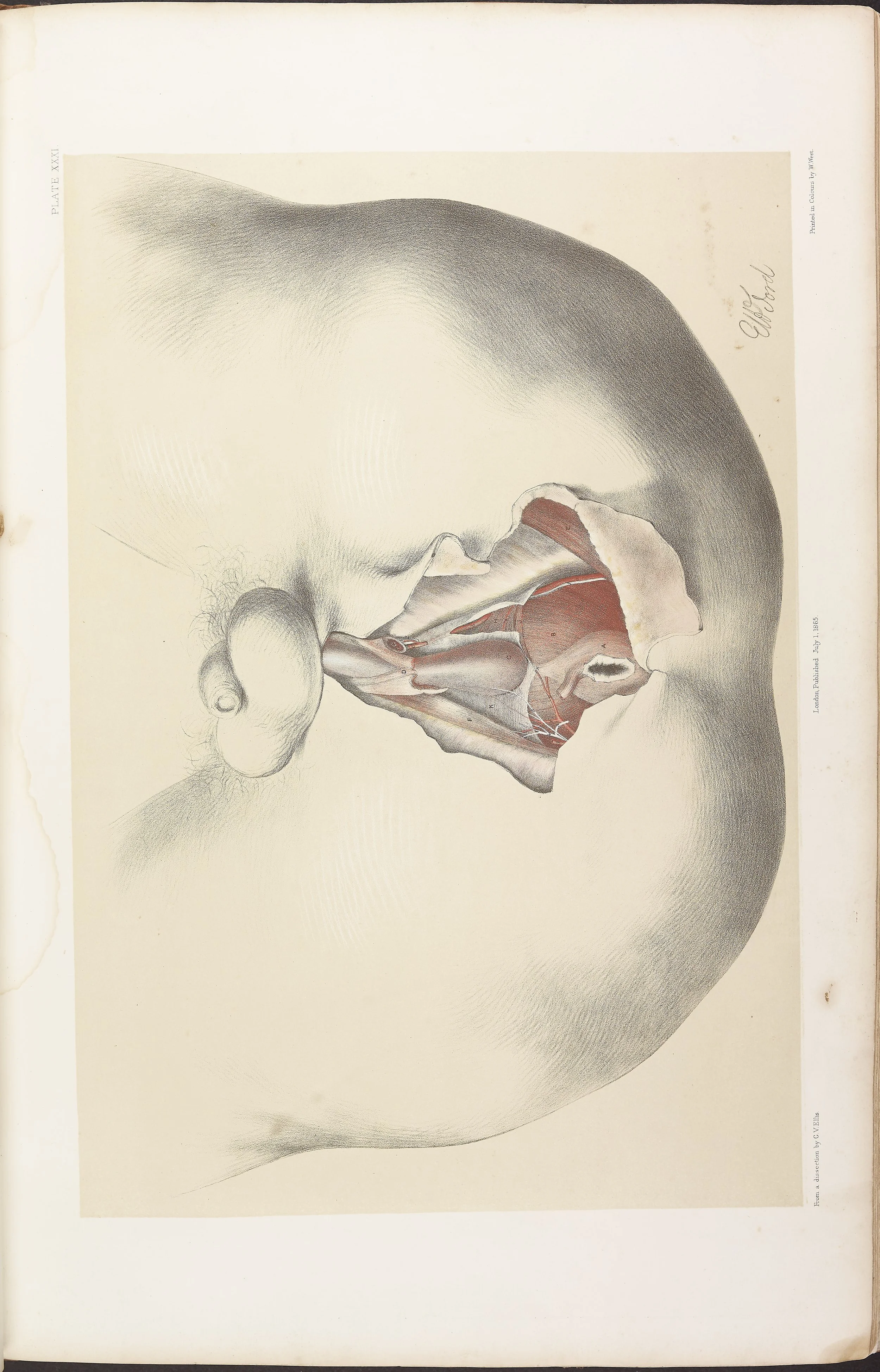 RM0161_033.jpg