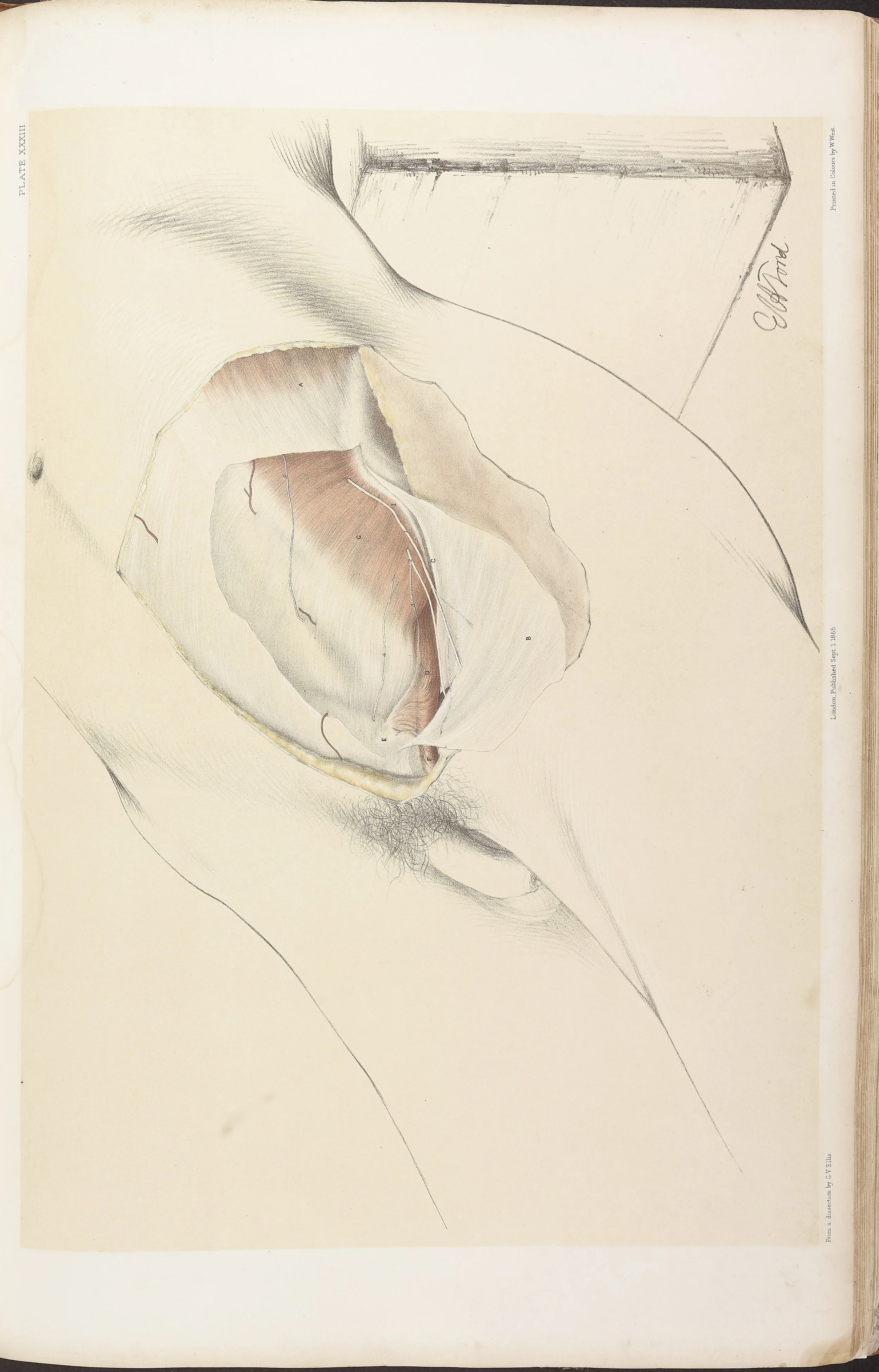 RM0161_035.jpg