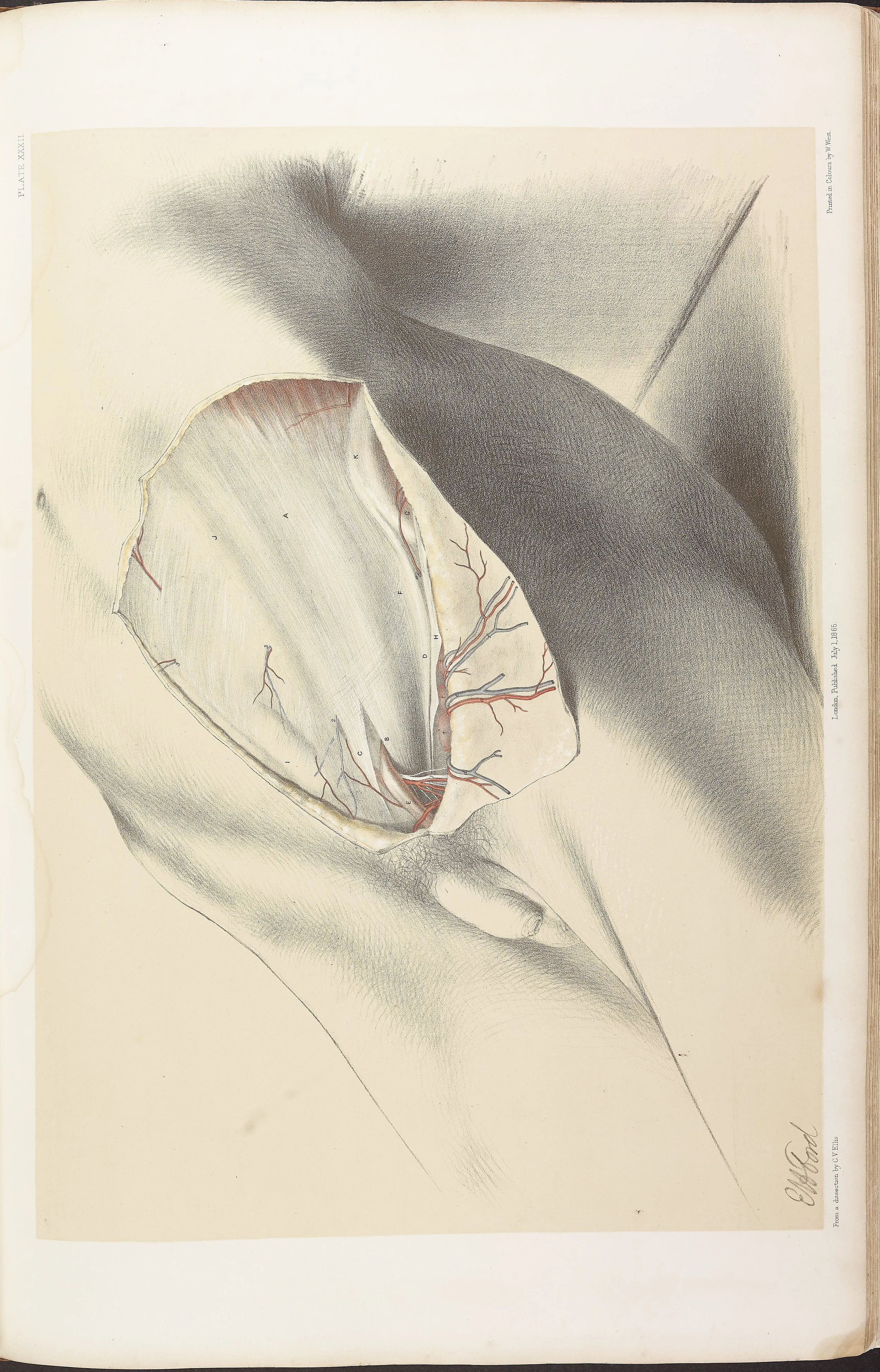 RM0161_034.jpg