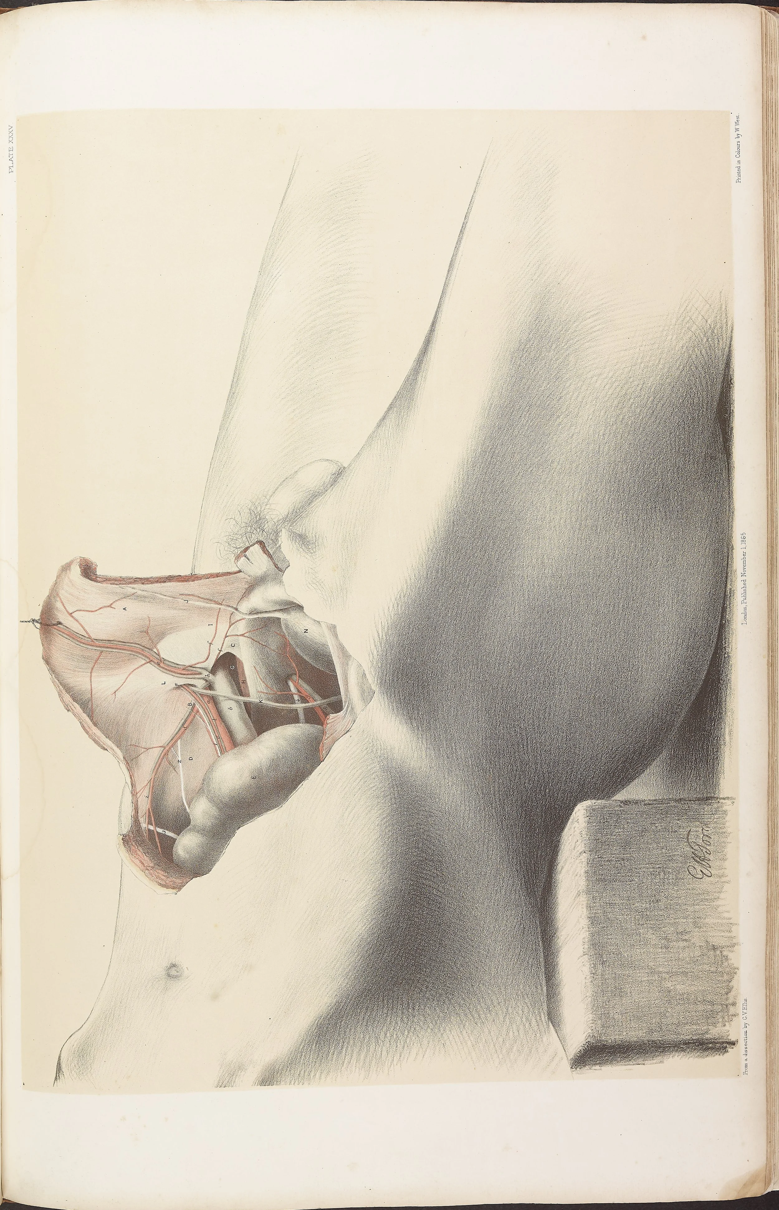 RM0161_037.jpg