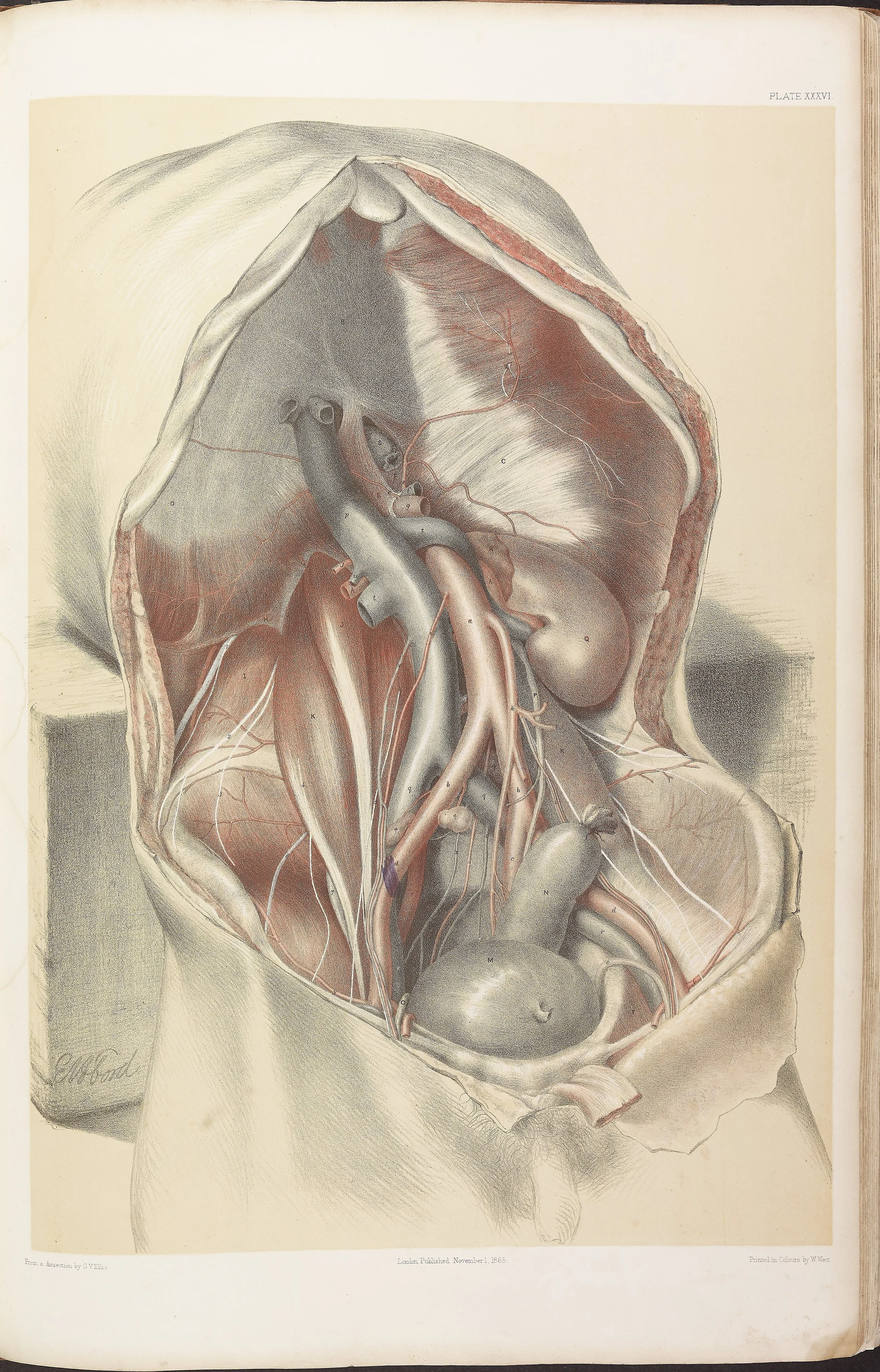 RM0161_038.jpg