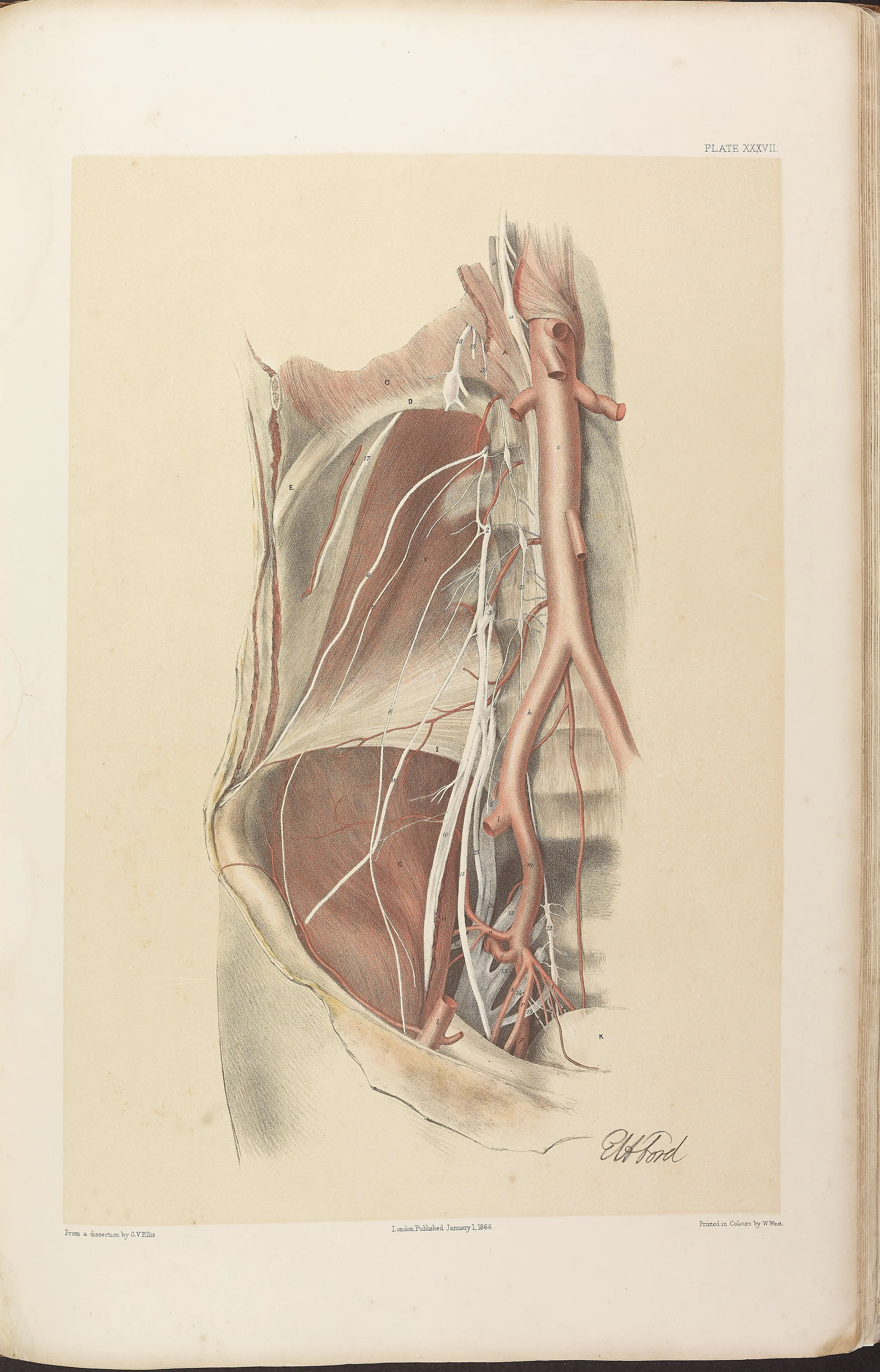 RM0161_039.jpg