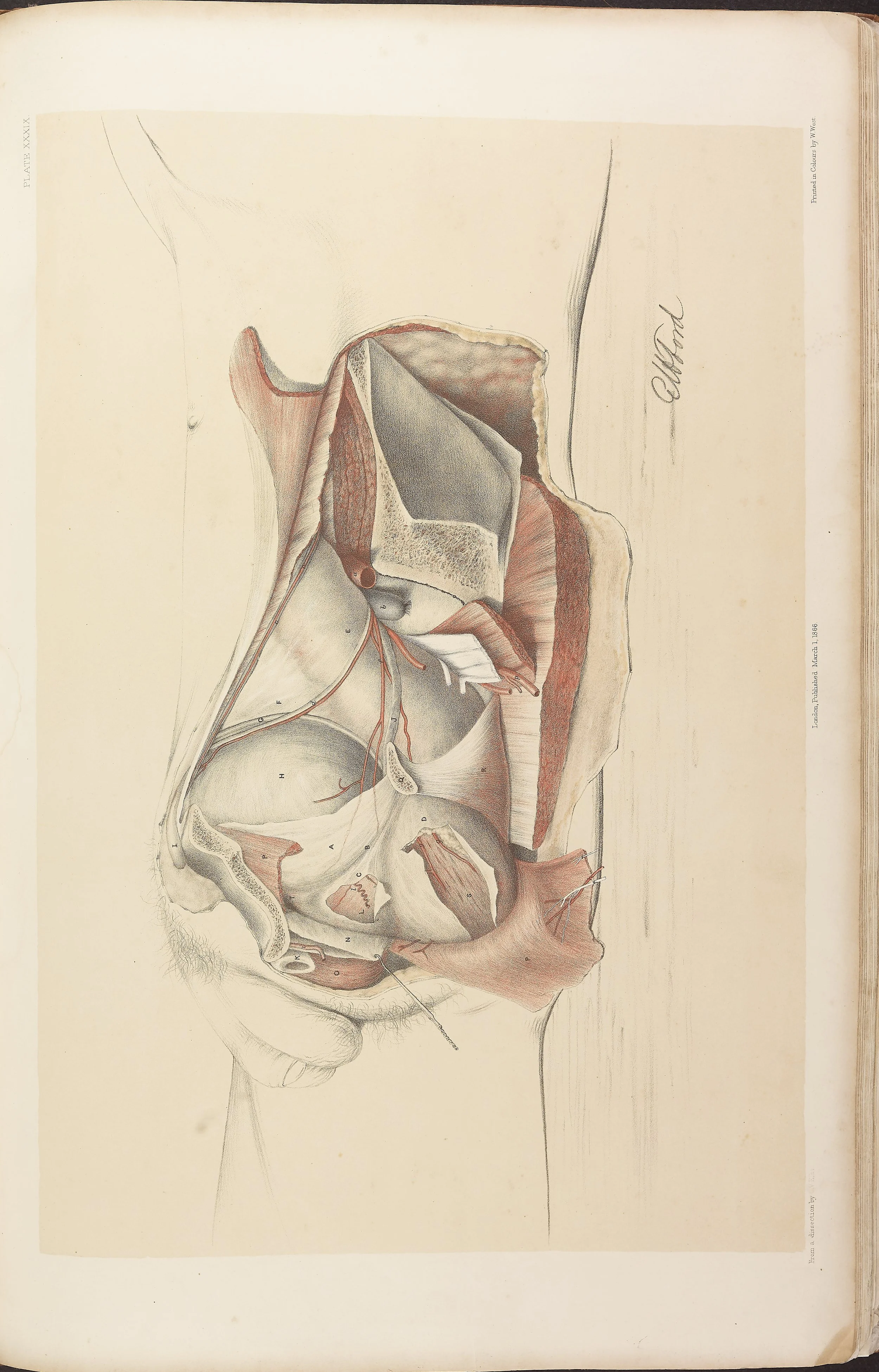 RM0161_041.jpg