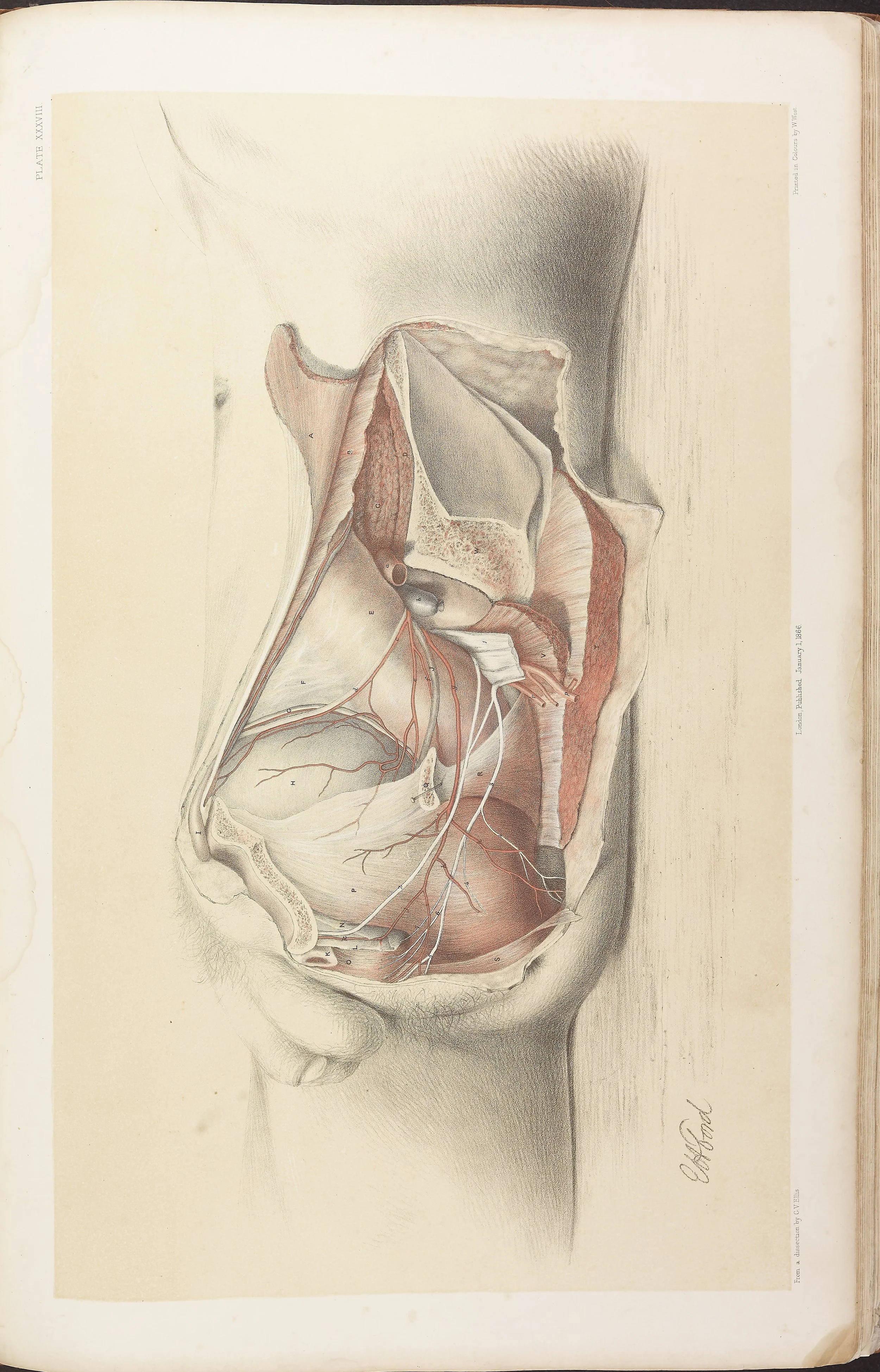 RM0161_040.jpg