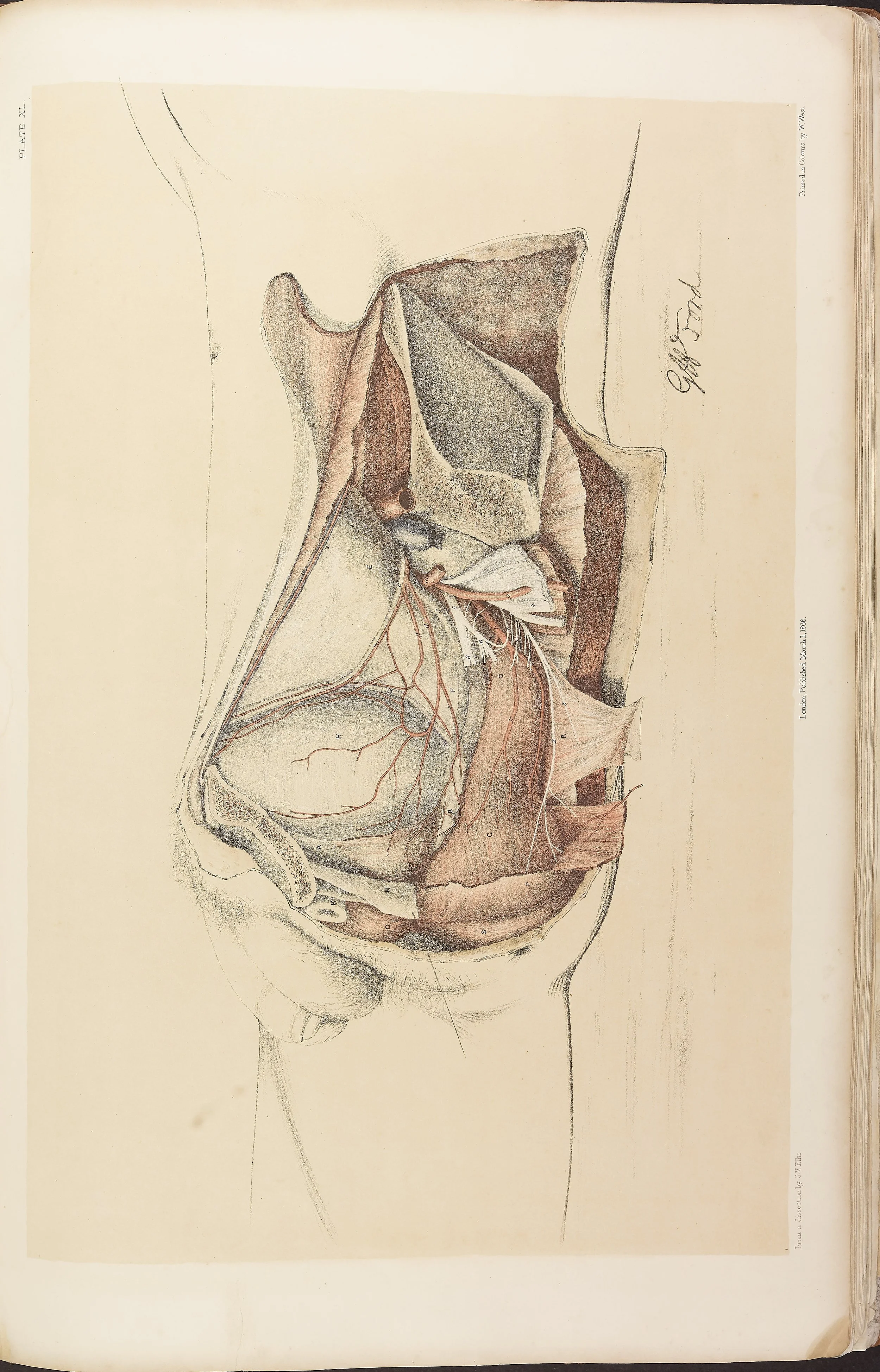 RM0161_042.jpg