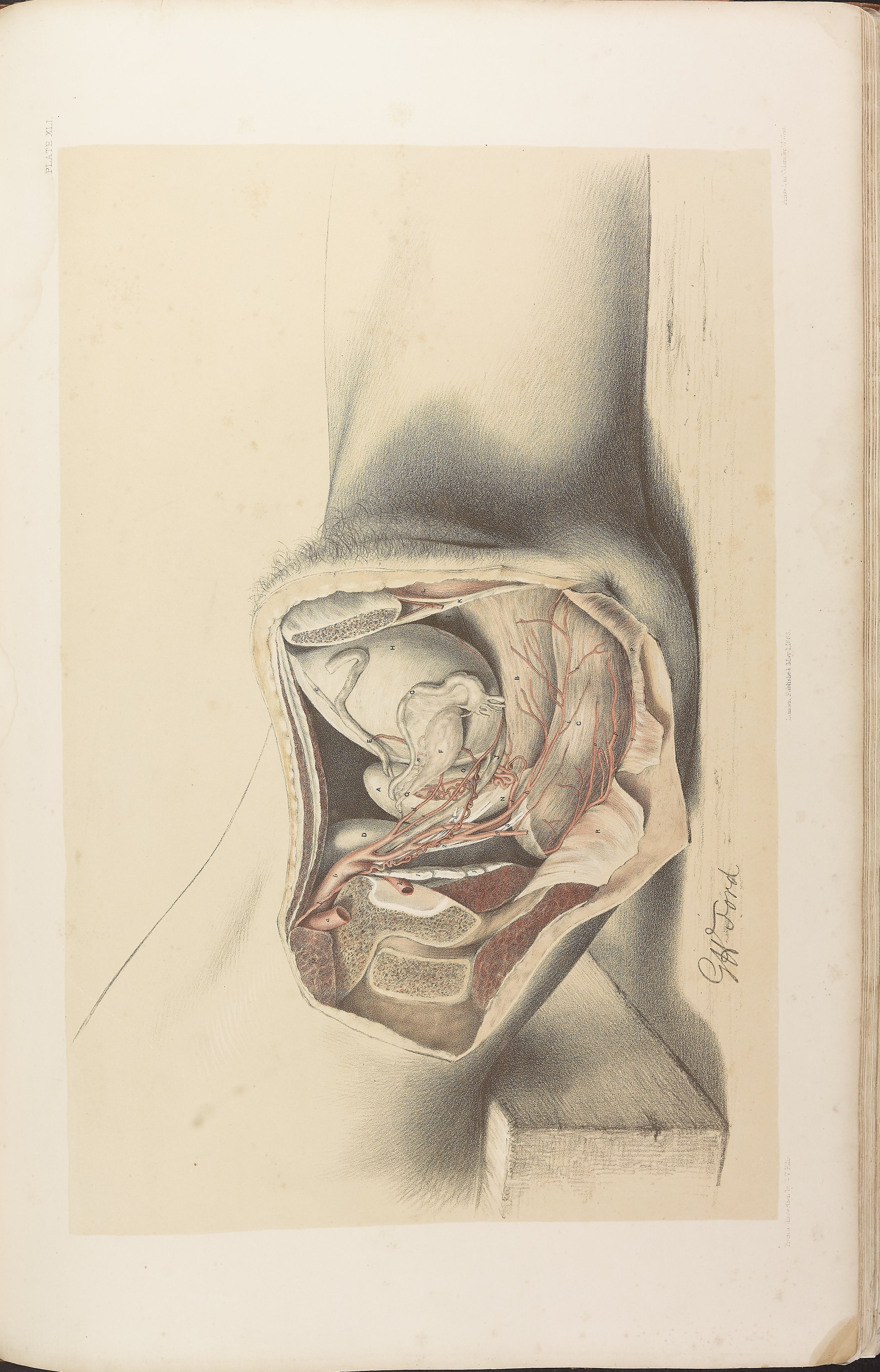 RM0161_043.jpg