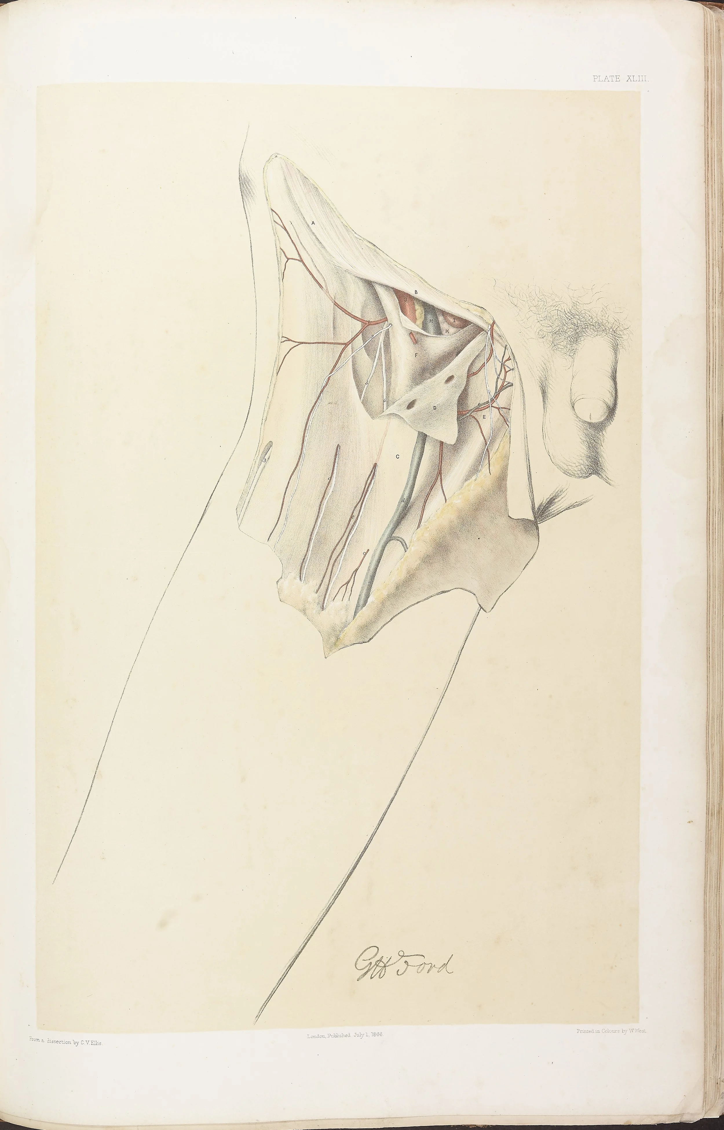 RM0161_045.jpg