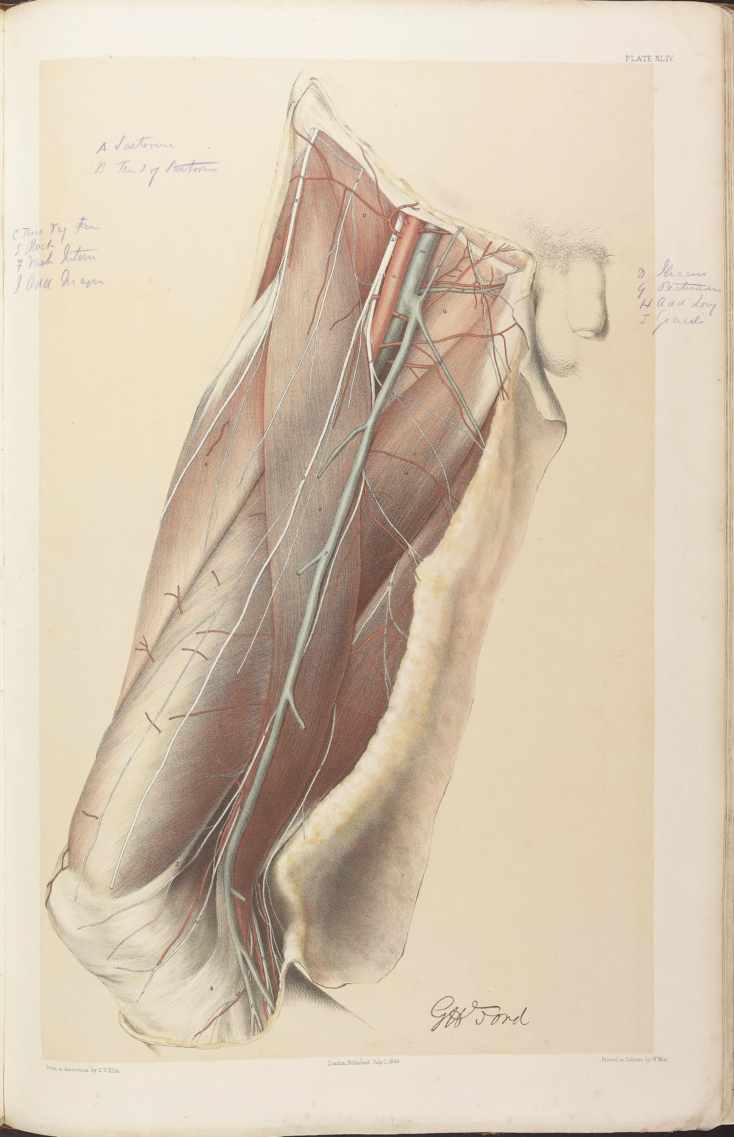 RM0161_046.jpg