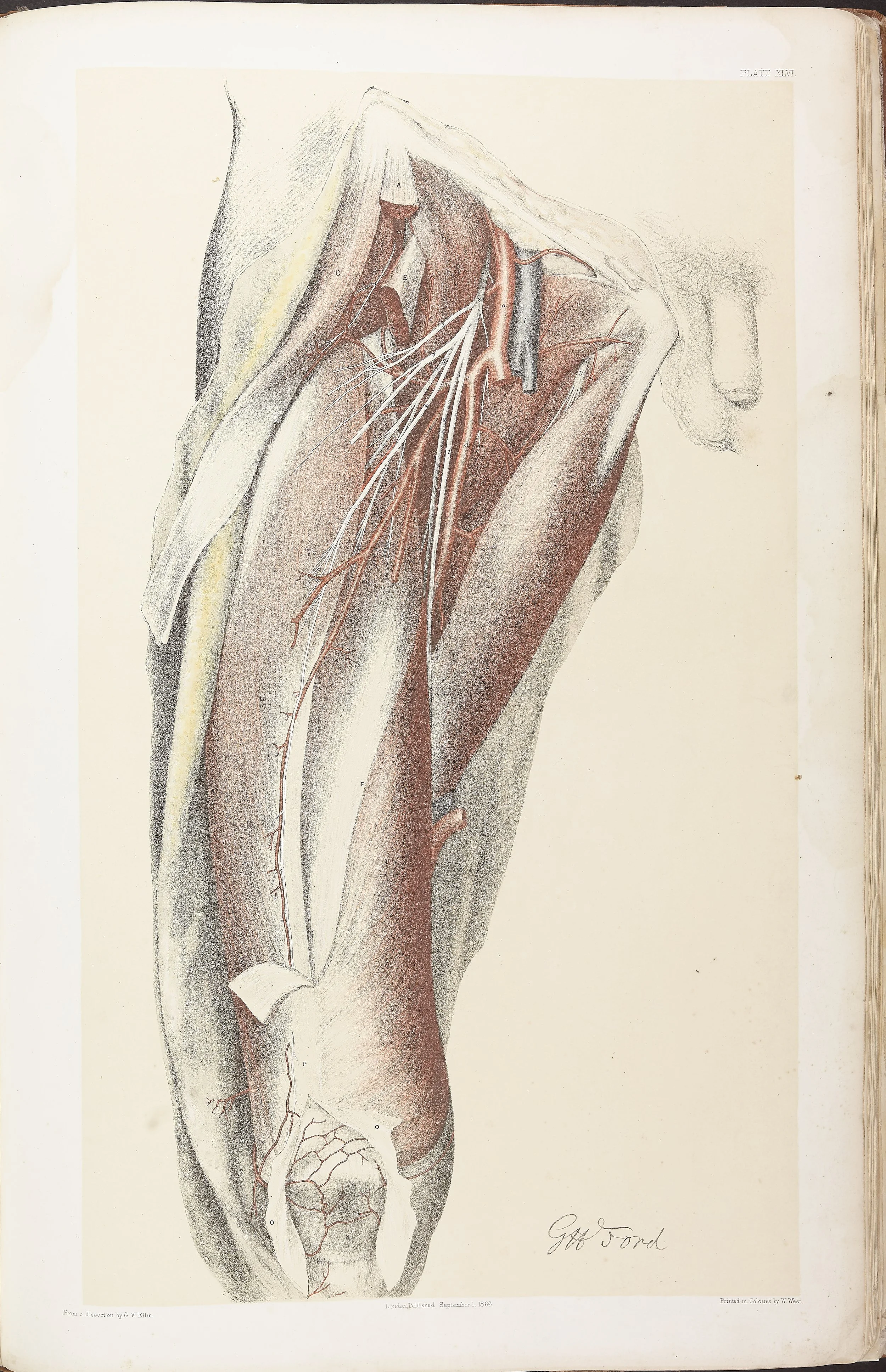RM0161_047.jpg