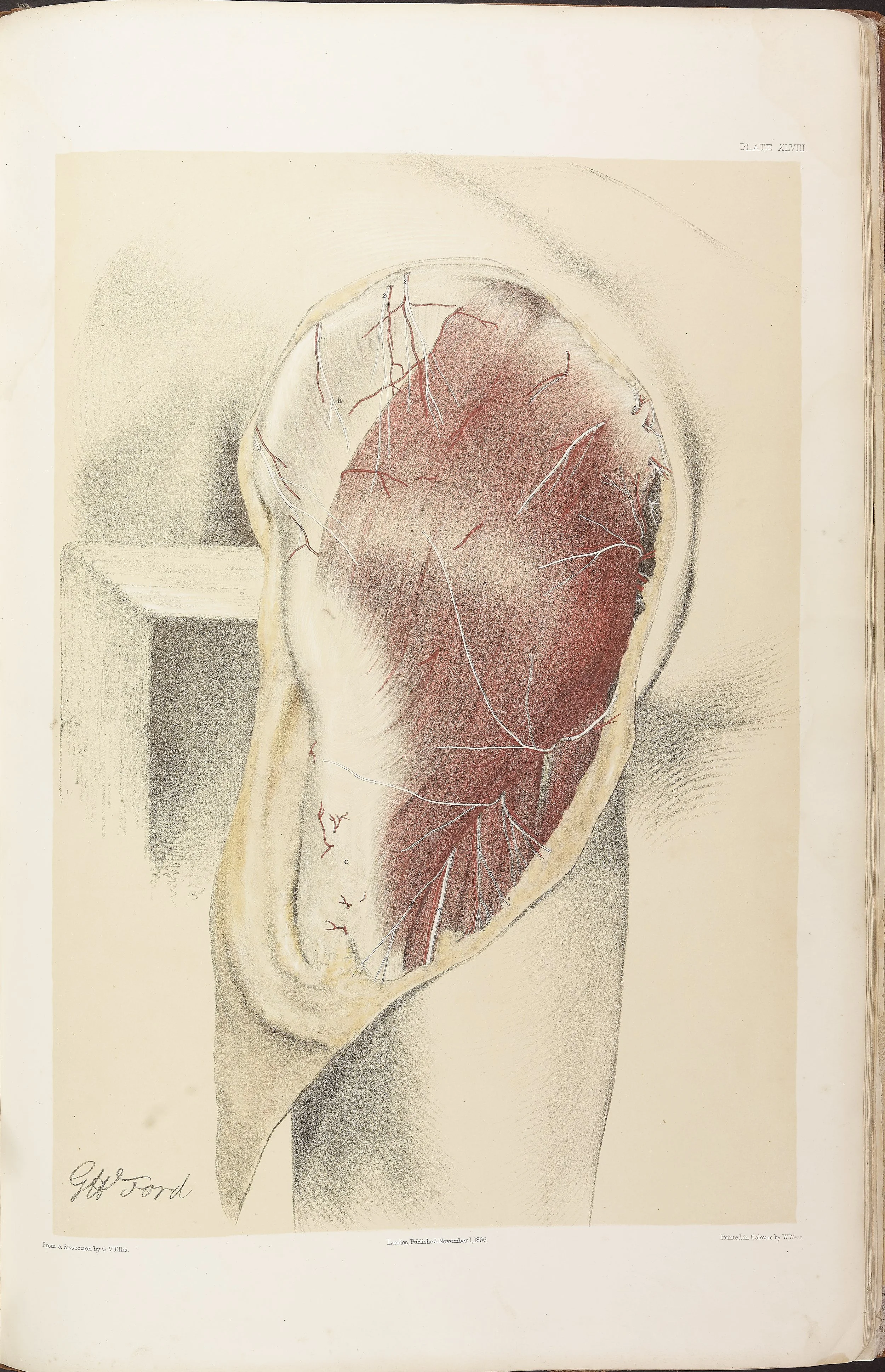 RM0161_049.jpg