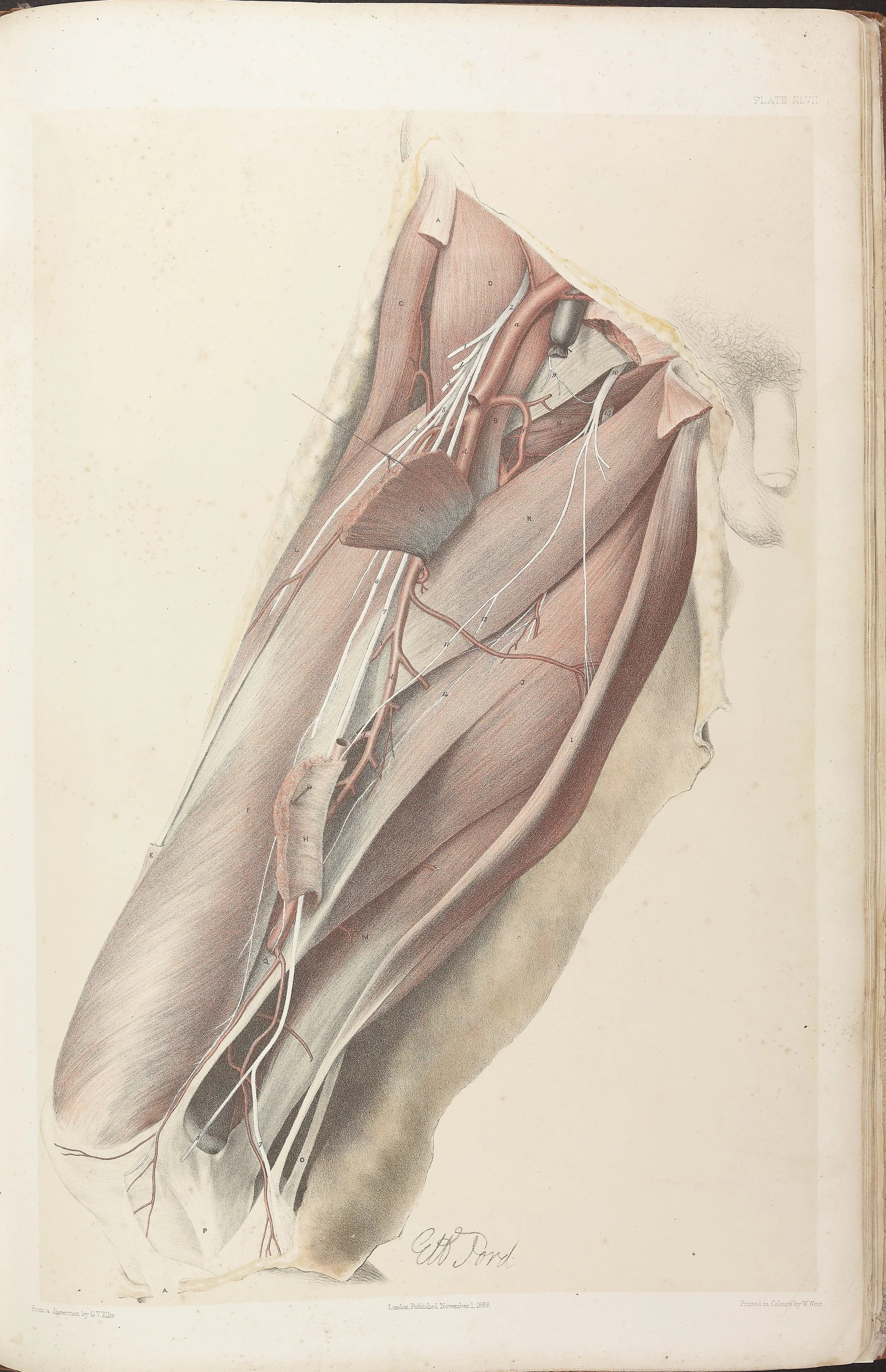 RM0161_048.jpg