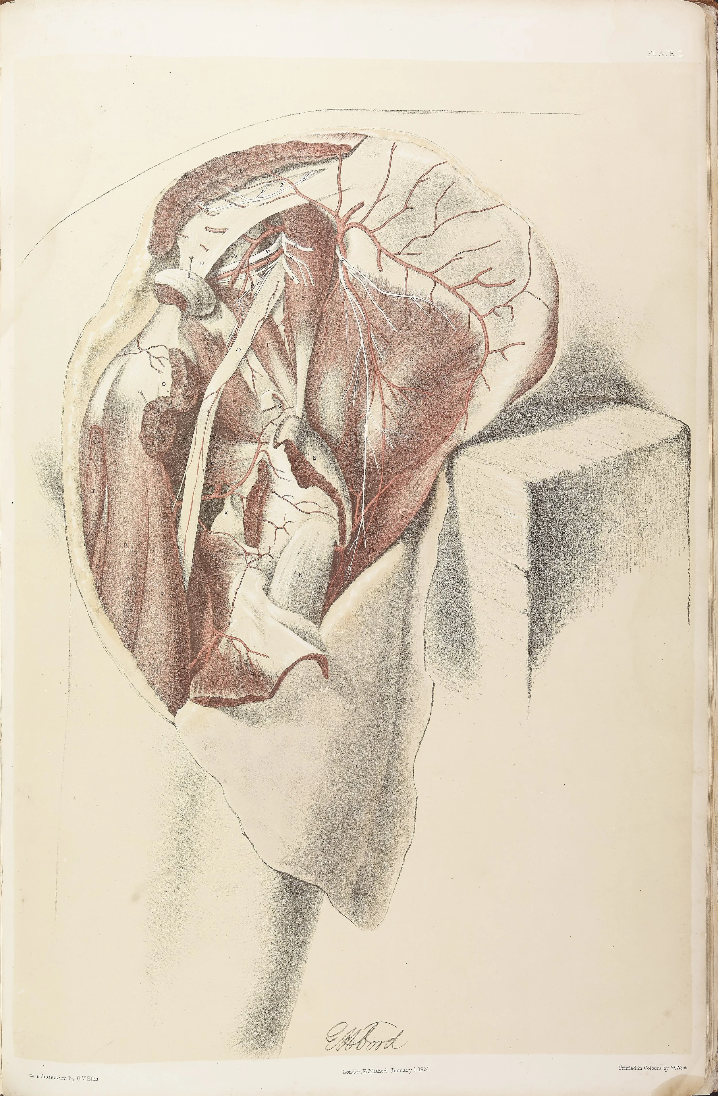 RM0161_051.jpg