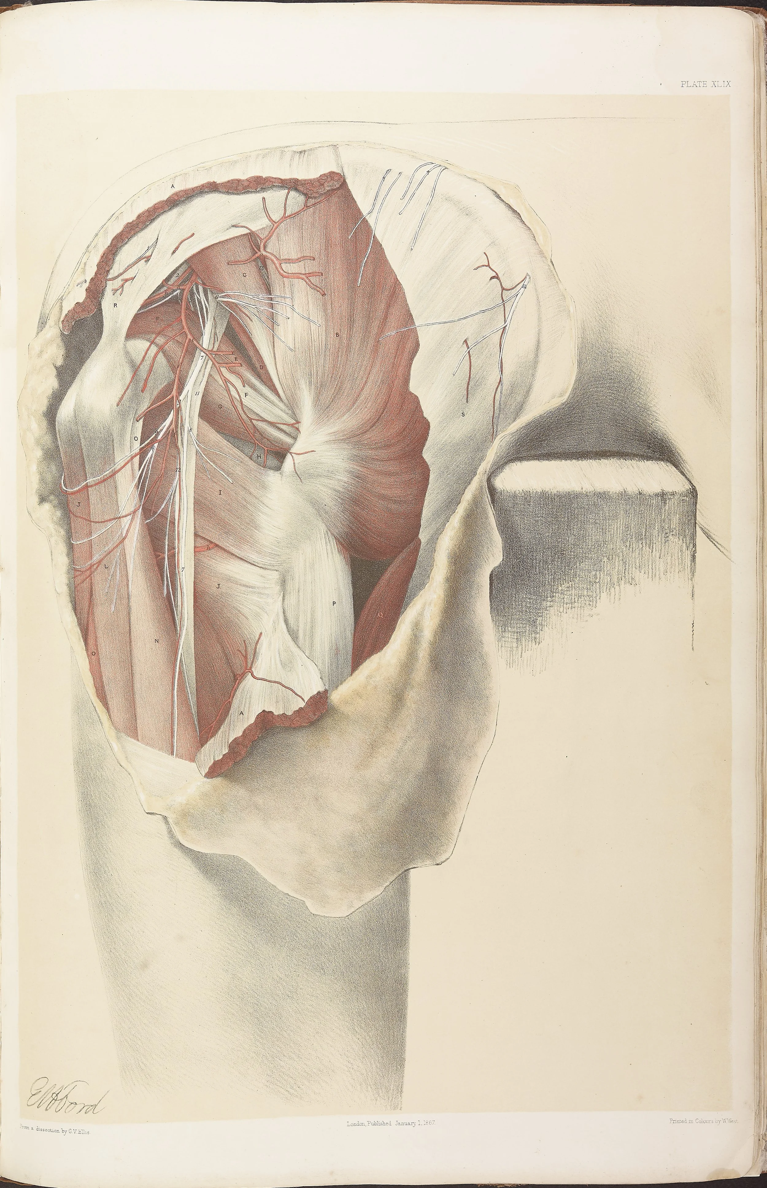 RM0161_050.jpg