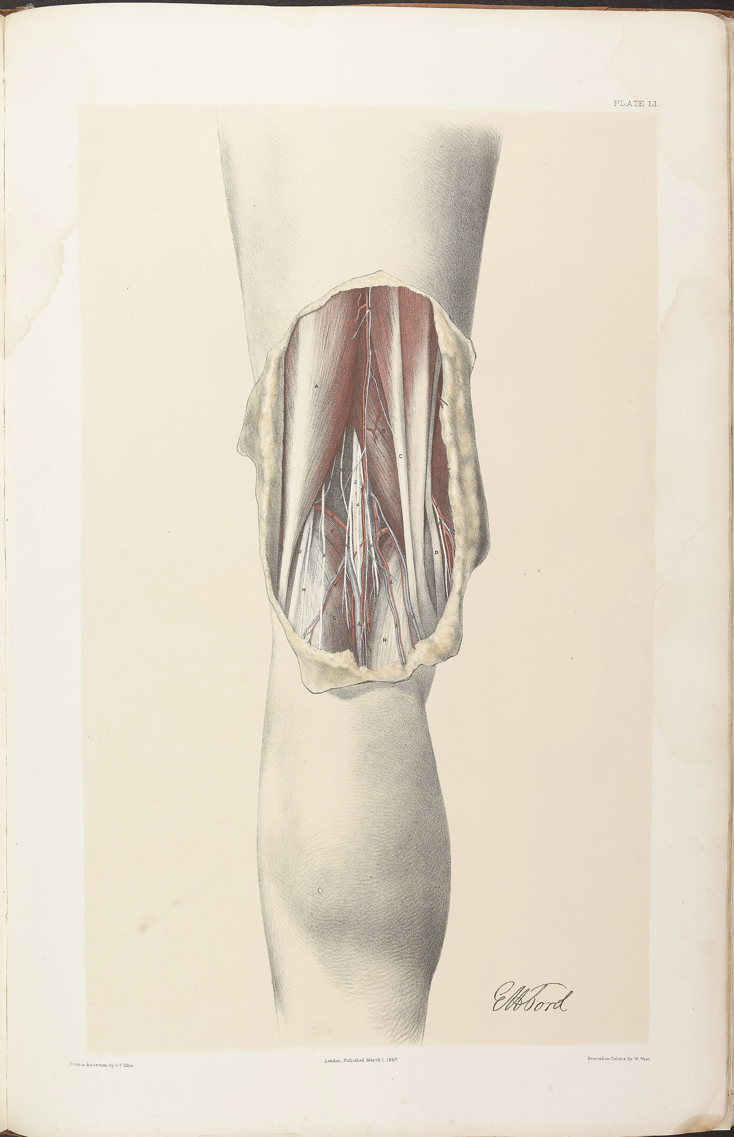 RM0161_052.jpg