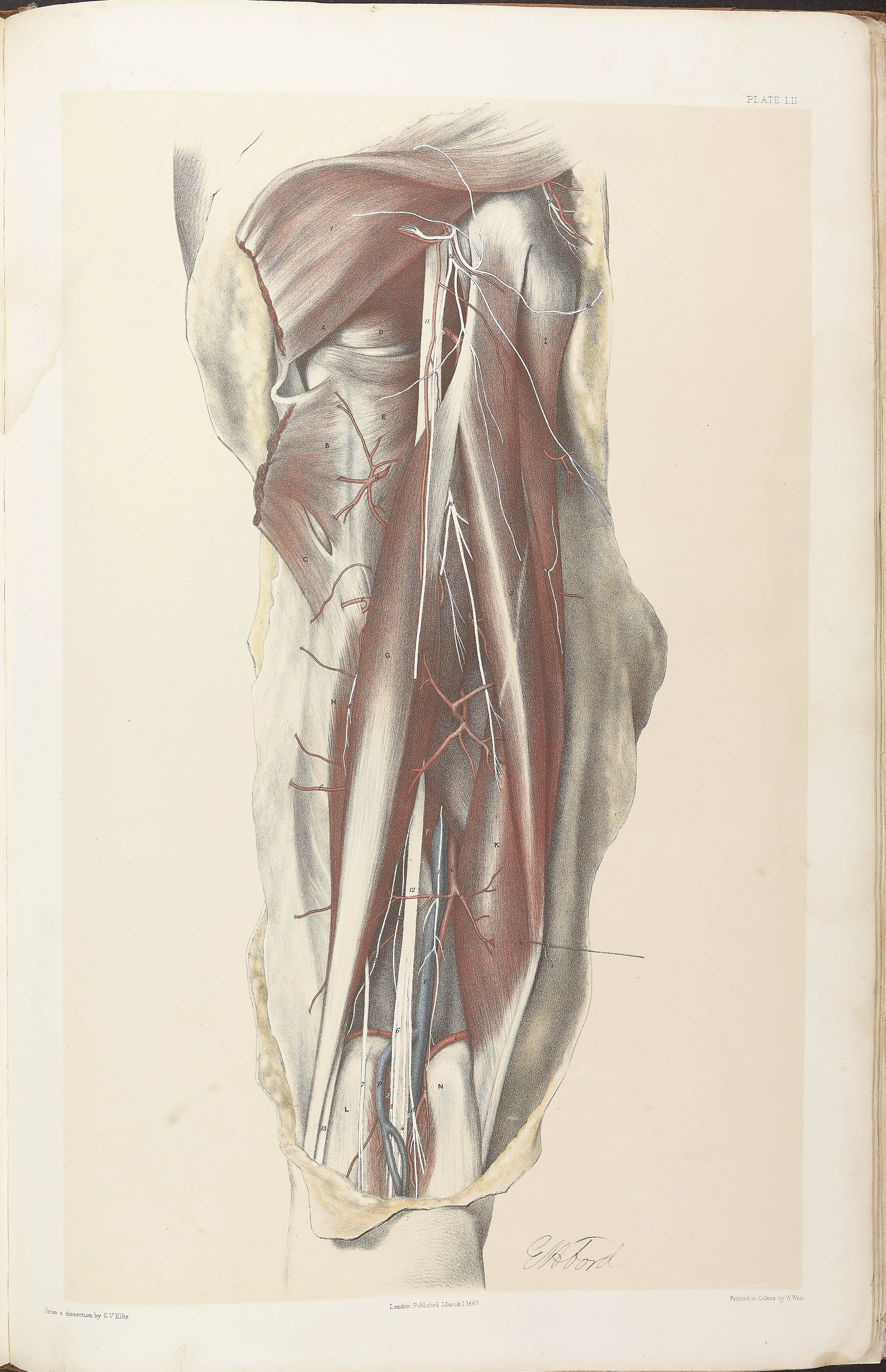 RM0161_053.jpg