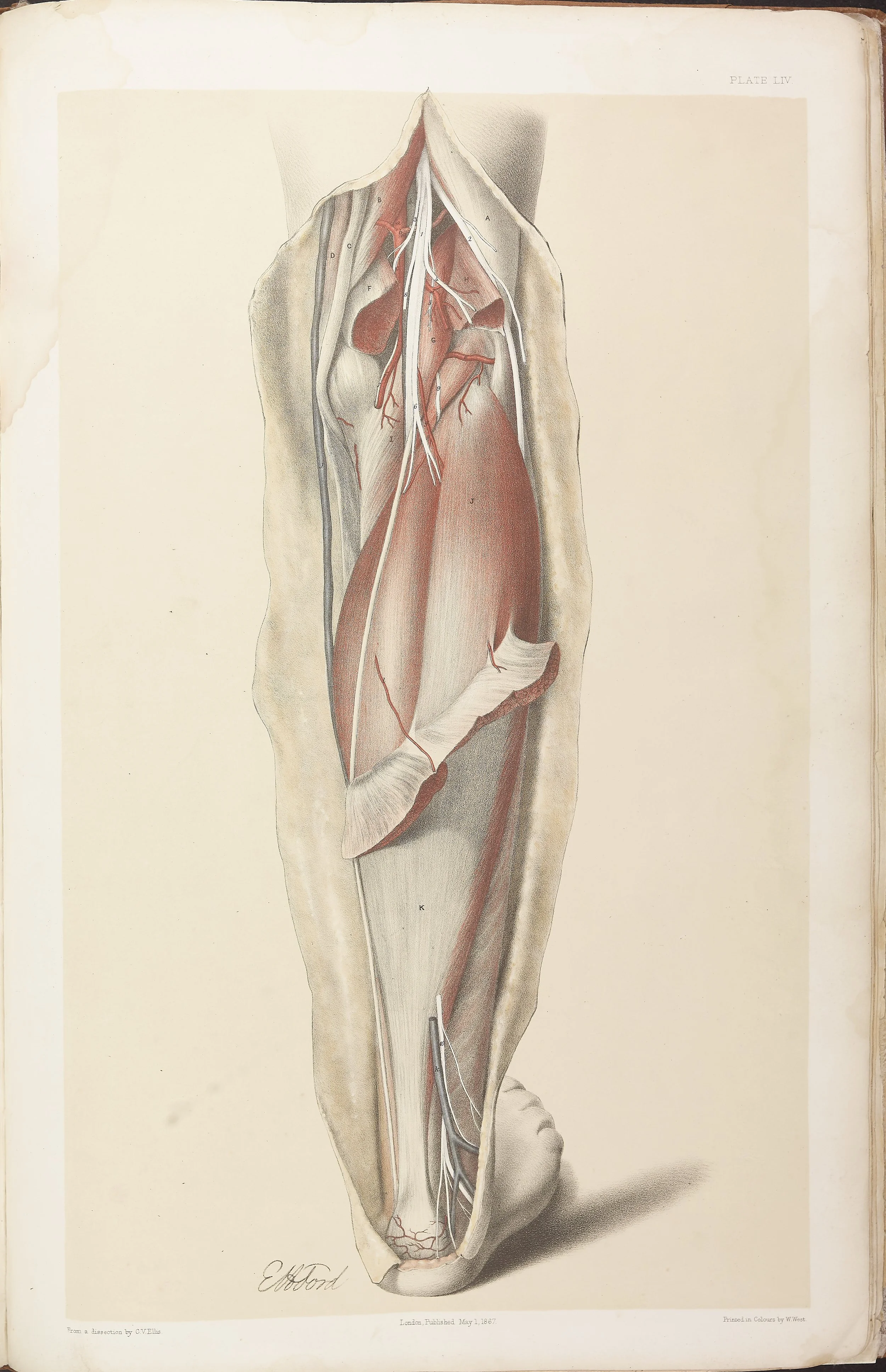 RM0161_054.jpg