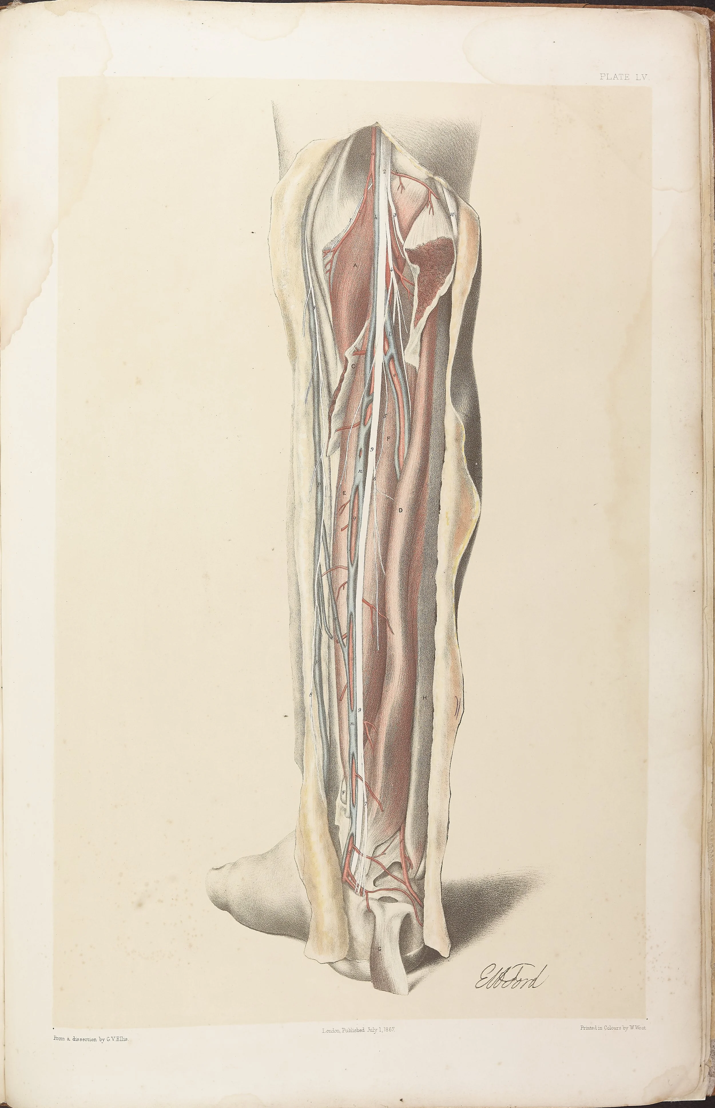 RM0161_055.jpg