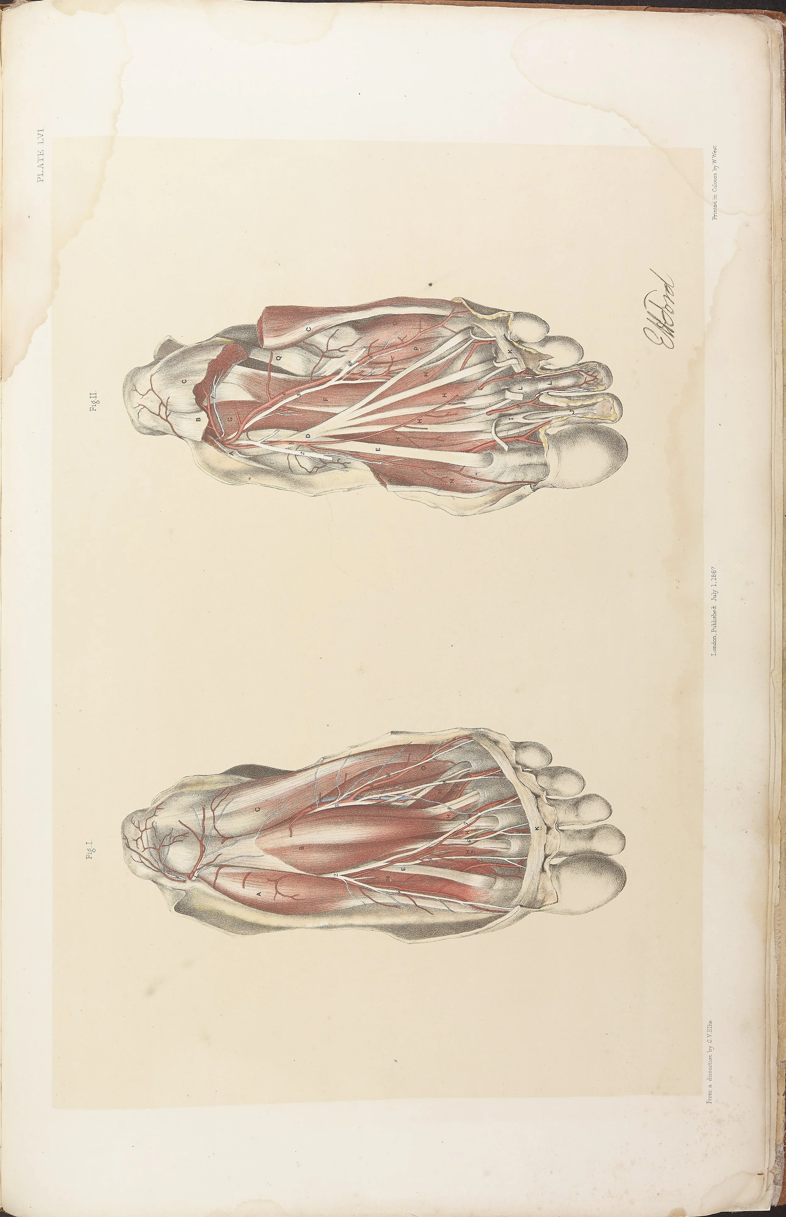 RM0161_056.jpg