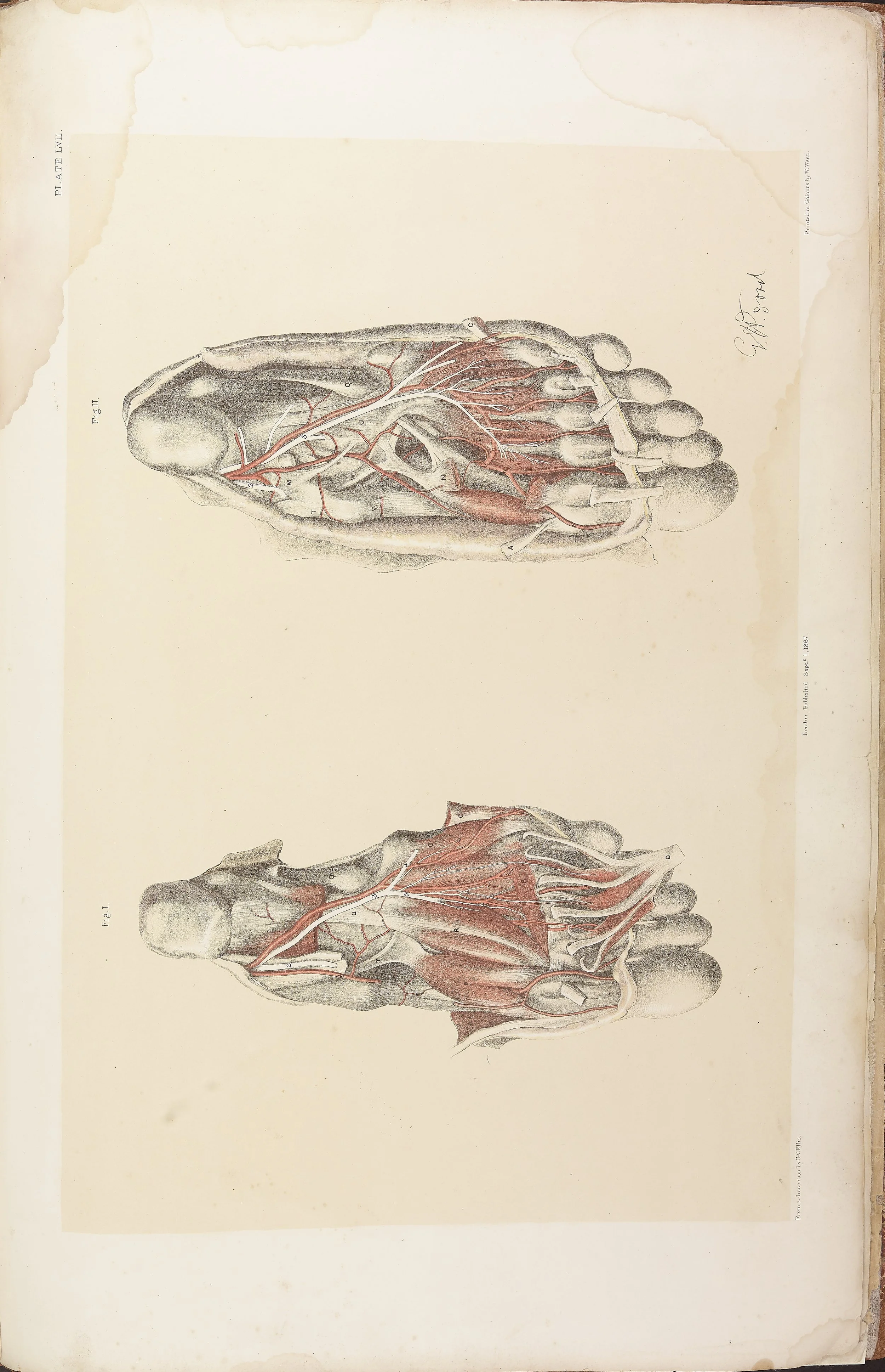 RM0161_057.jpg