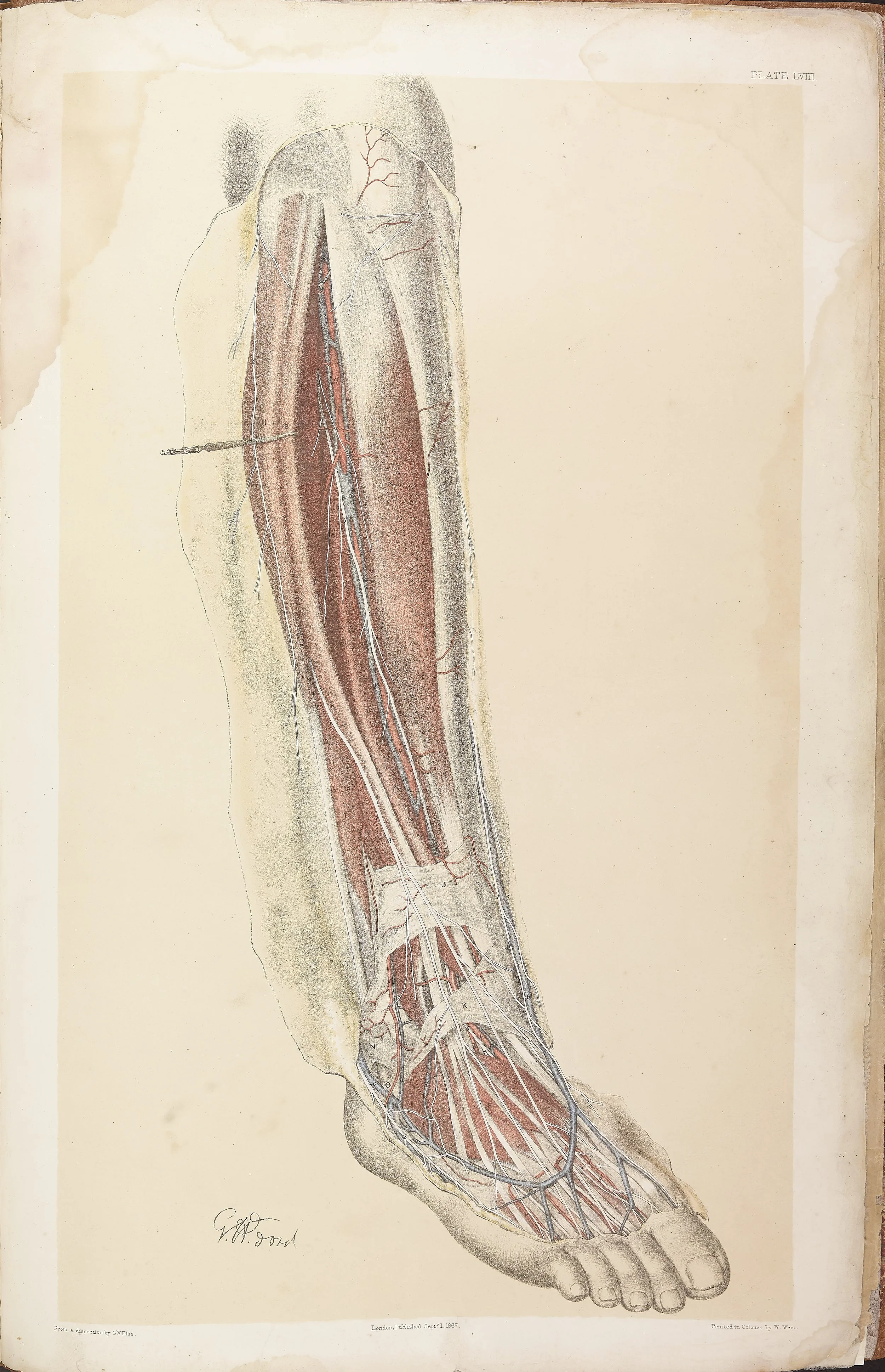 RM0161_058.jpg