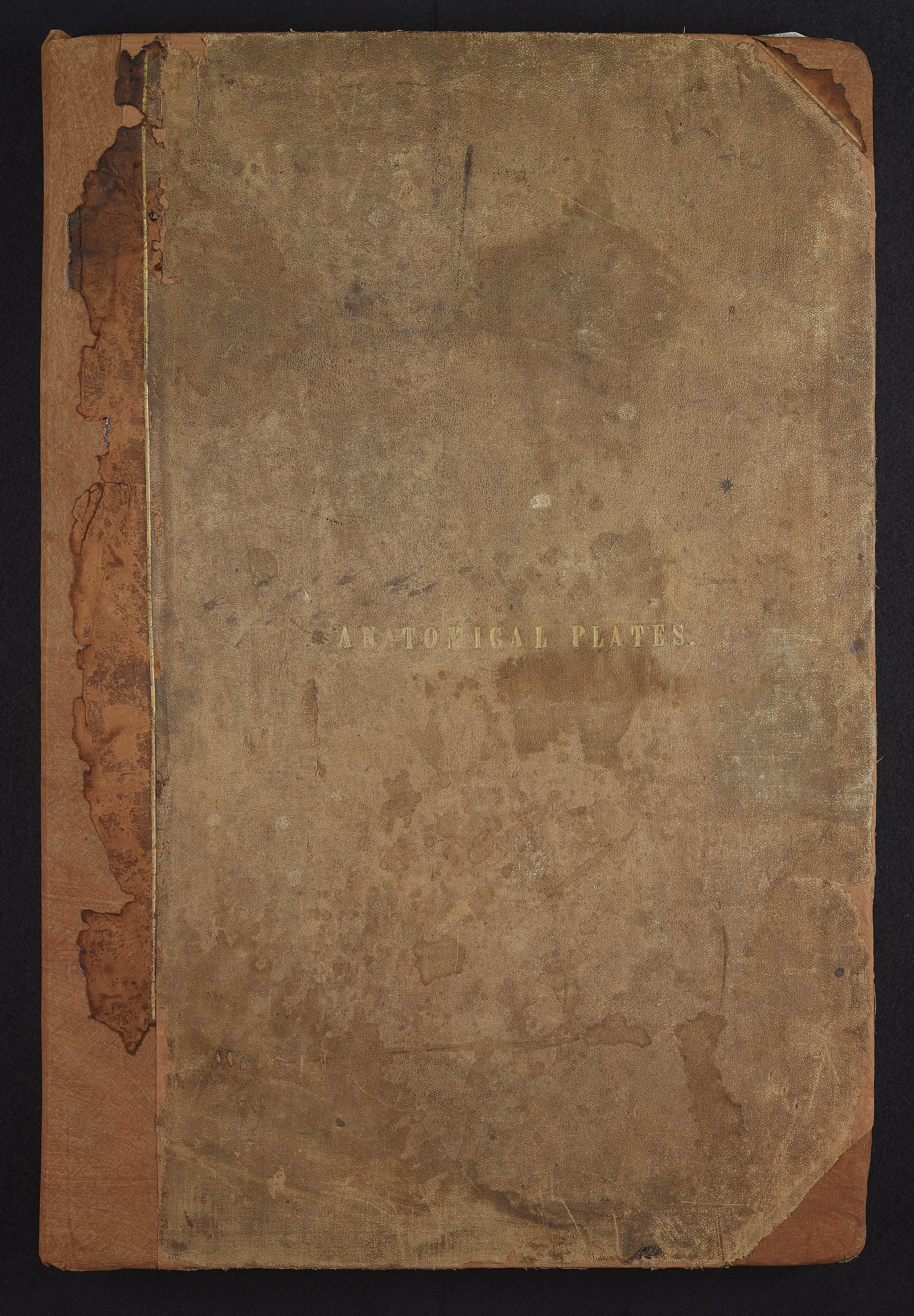 RM0161-Front Cover.jpg