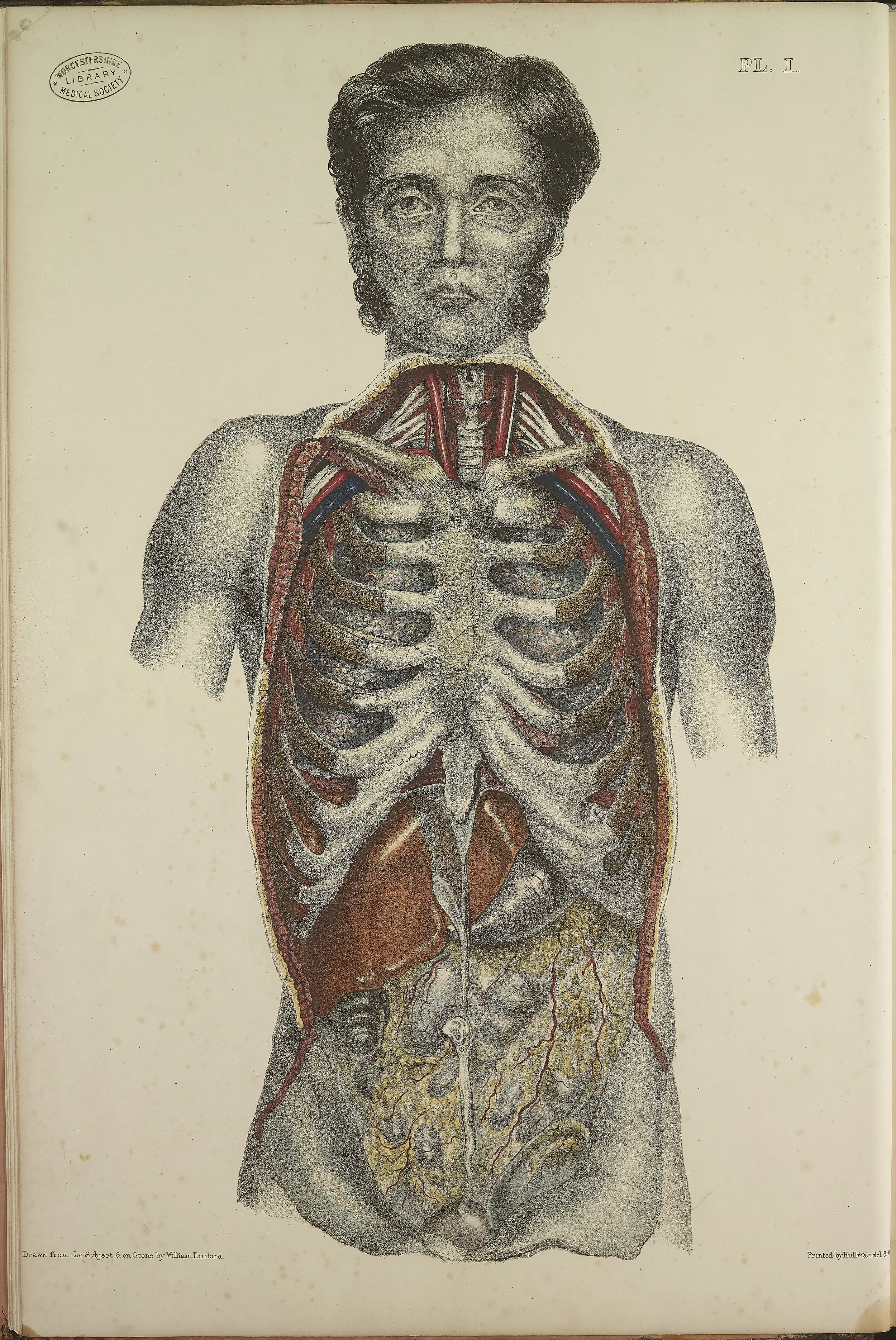 RM0162_05.jpg