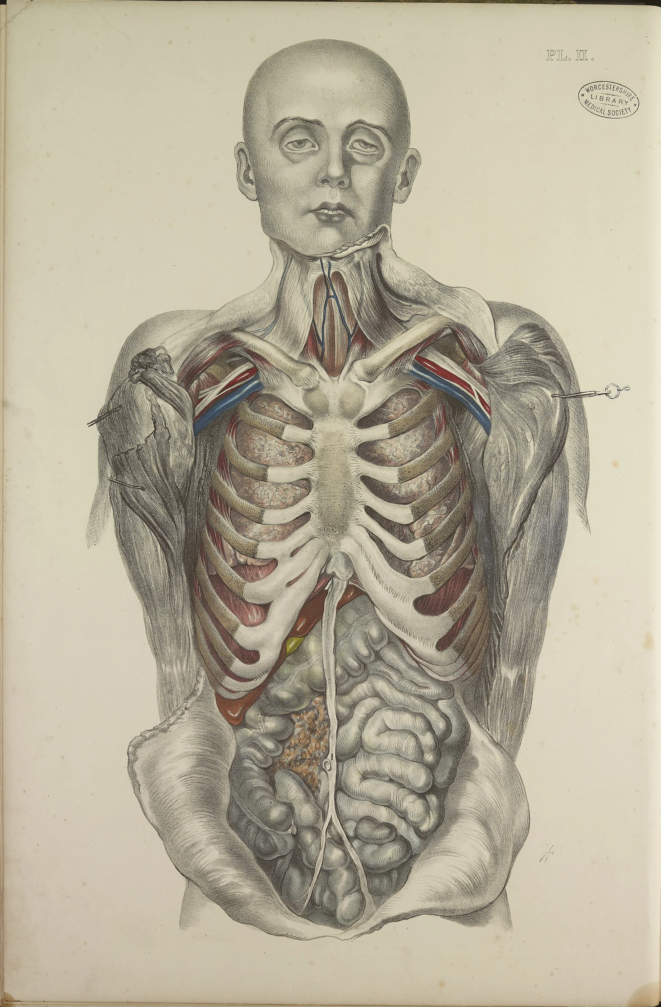 RM0162_08.jpg