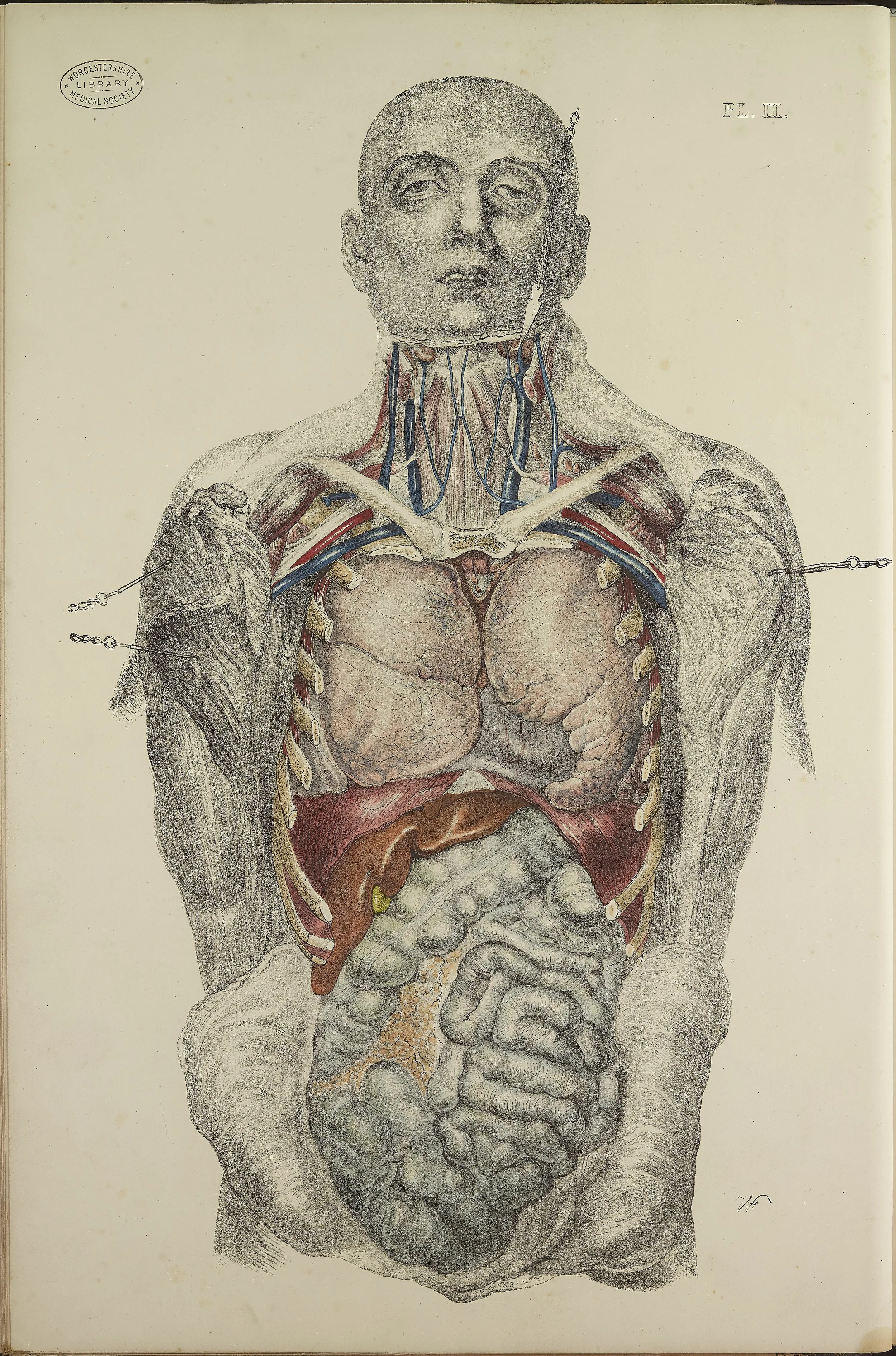 RM0162_11.jpg