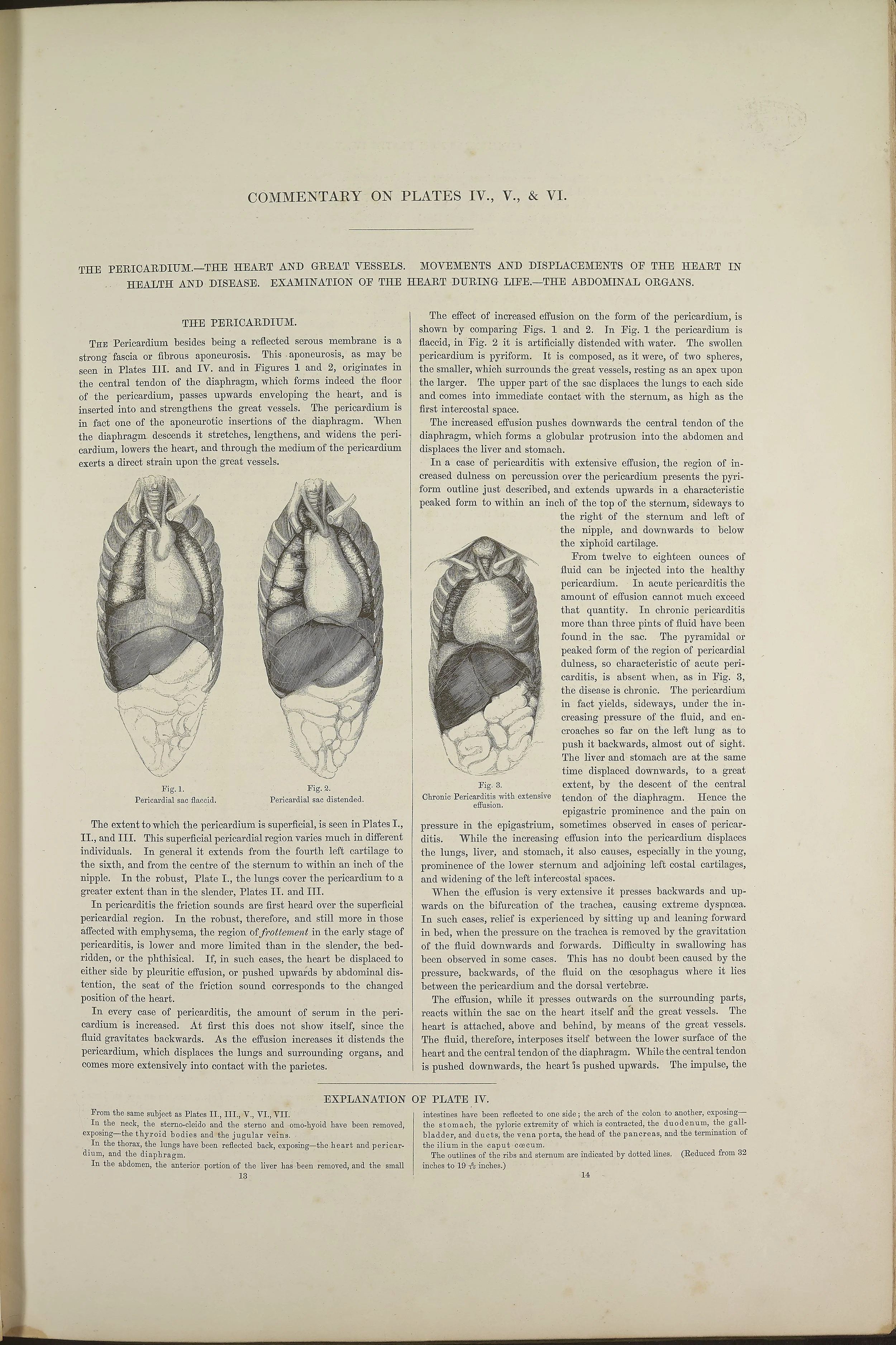 RM0162_15.jpg