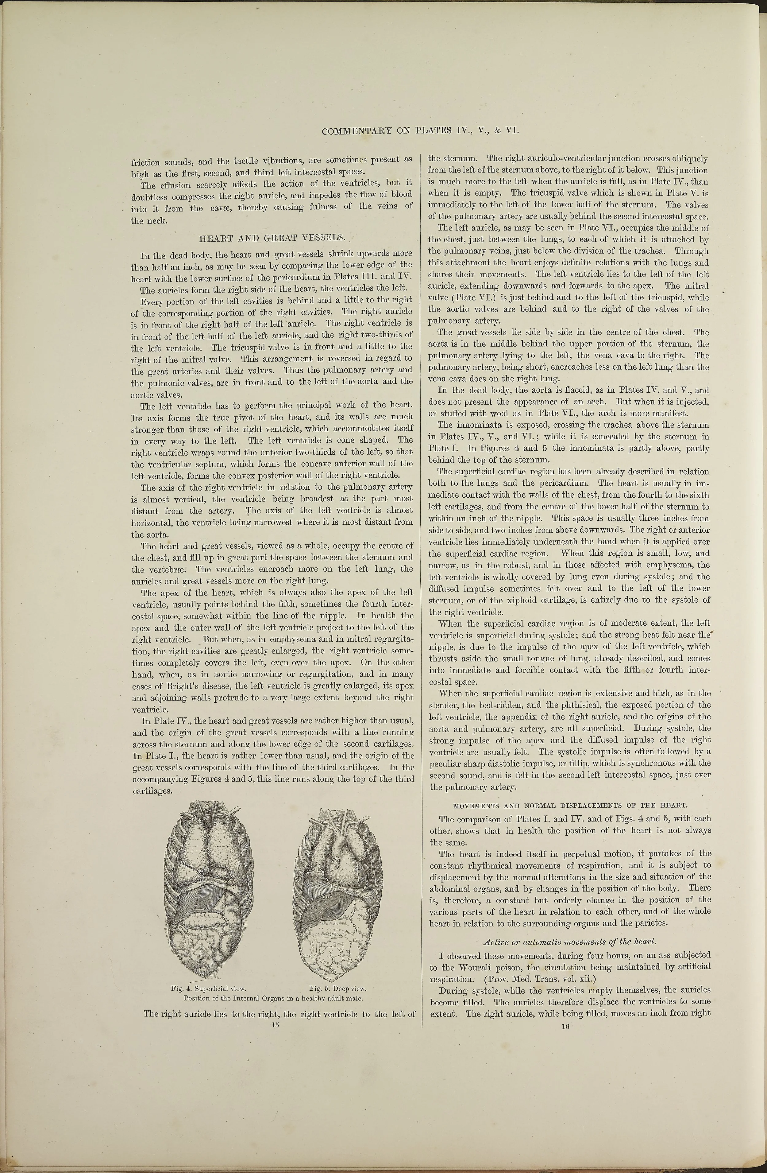 RM0162_16.jpg