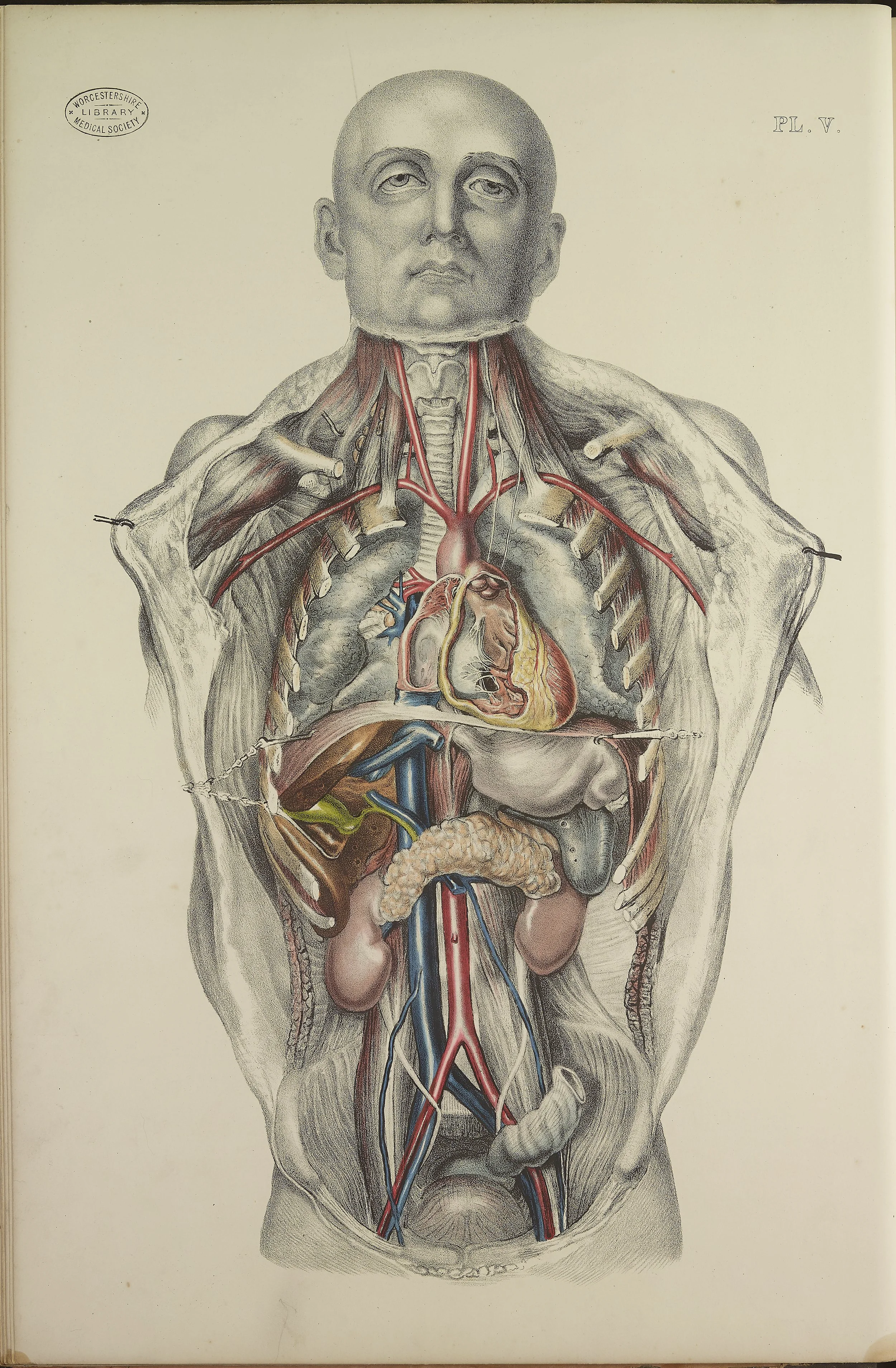 RM0162_17.jpg