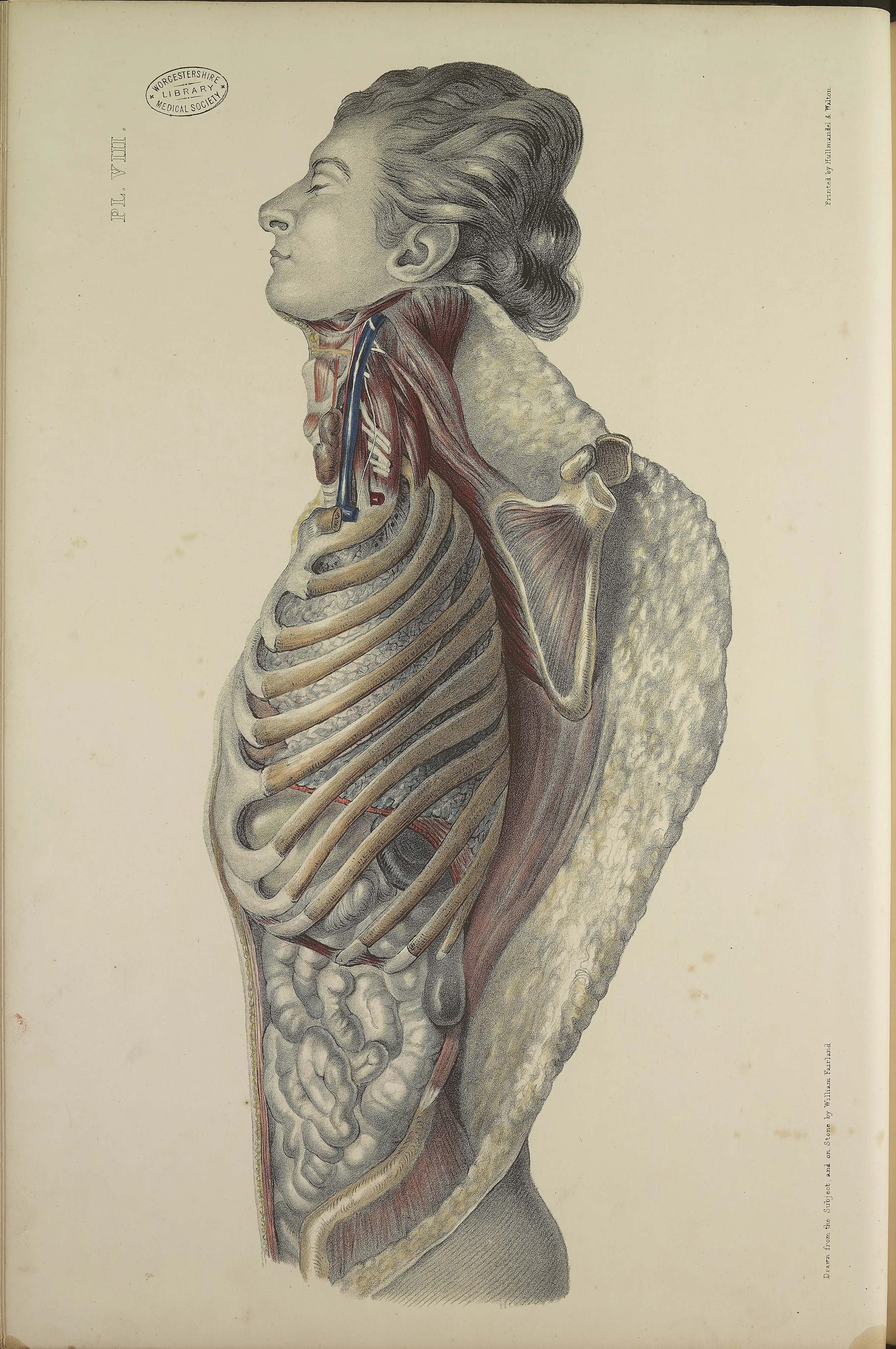 RM0162_26.jpg