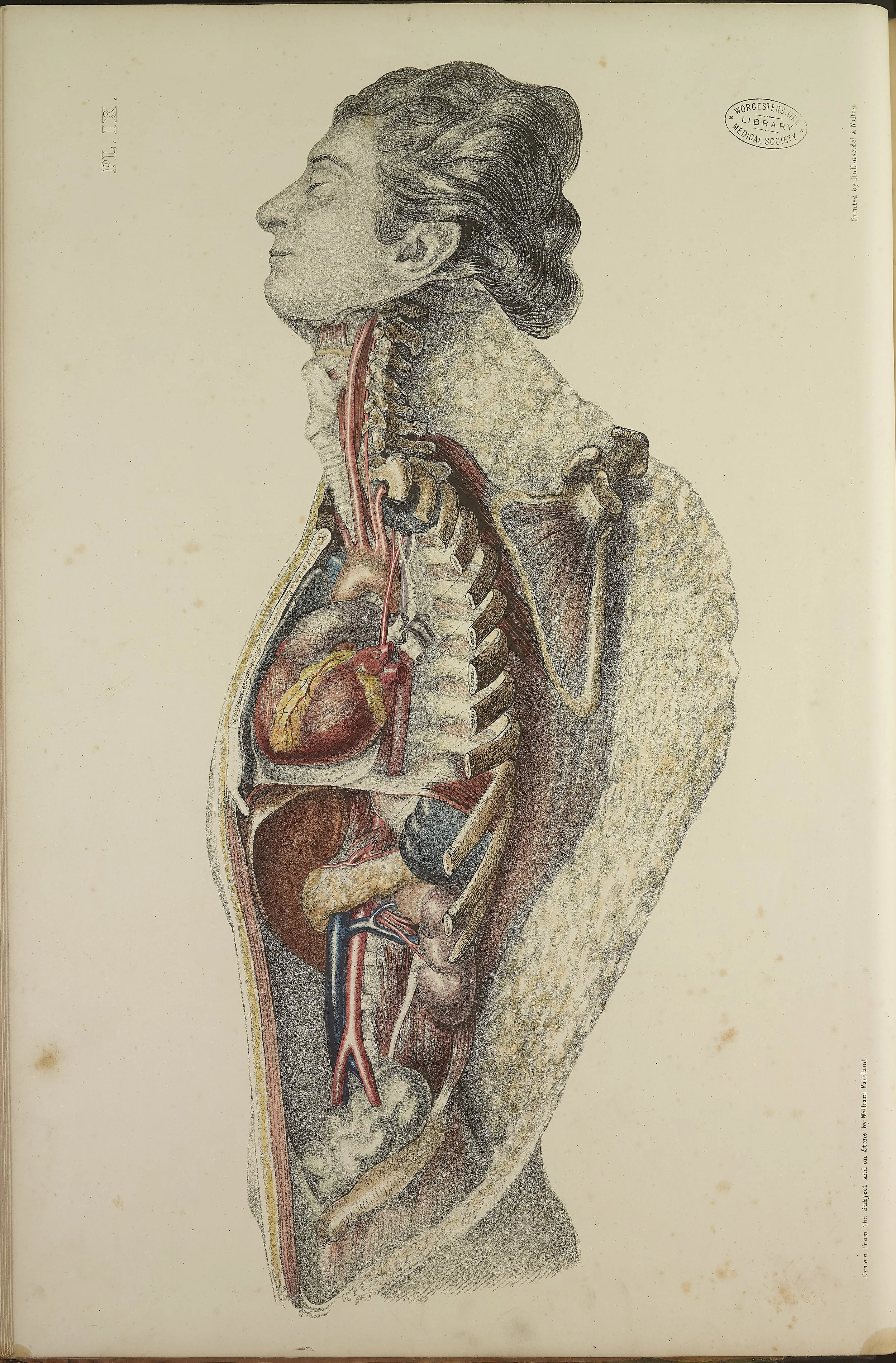 RM0162_29.jpg