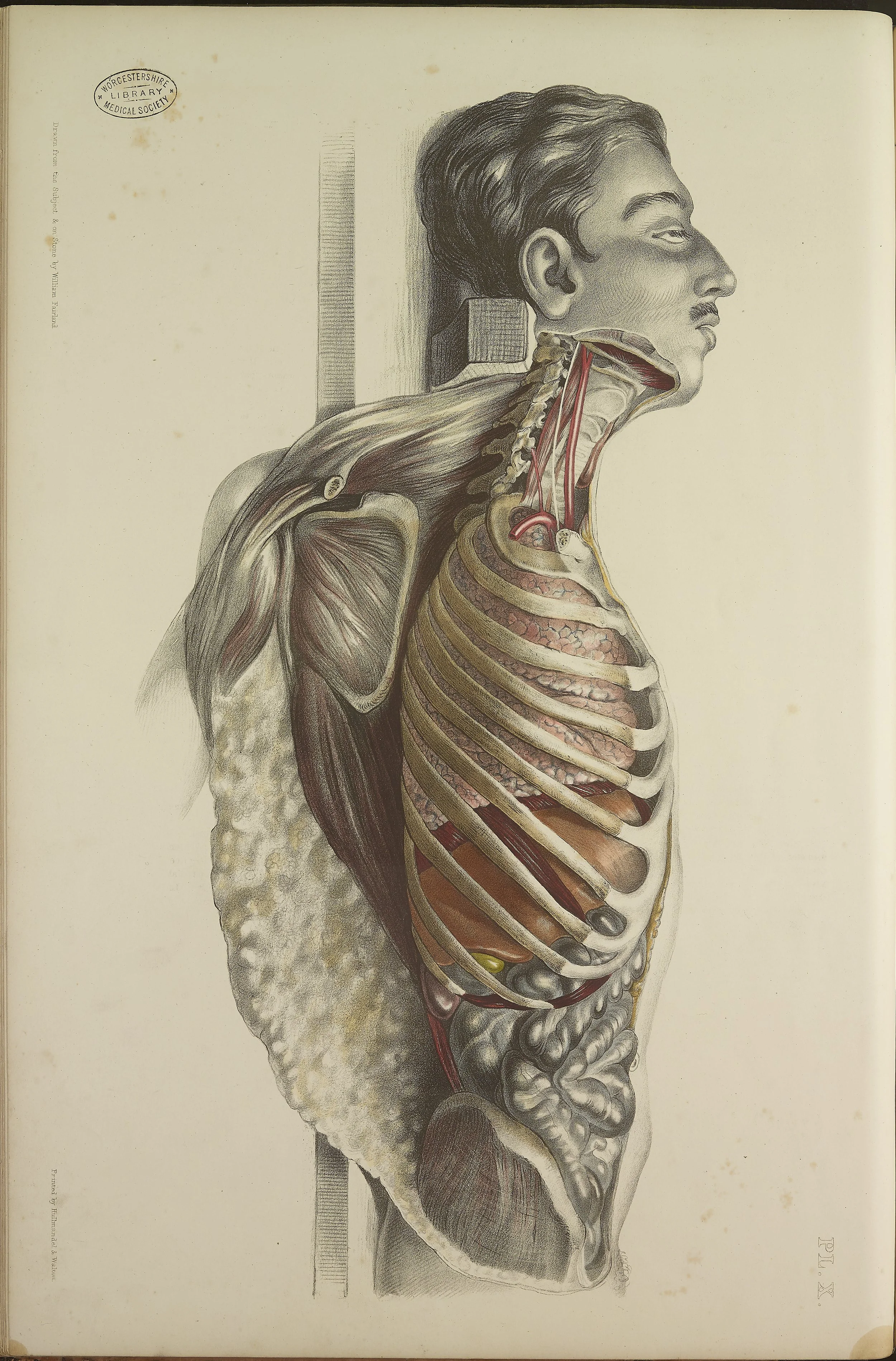 RM0162_32.jpg