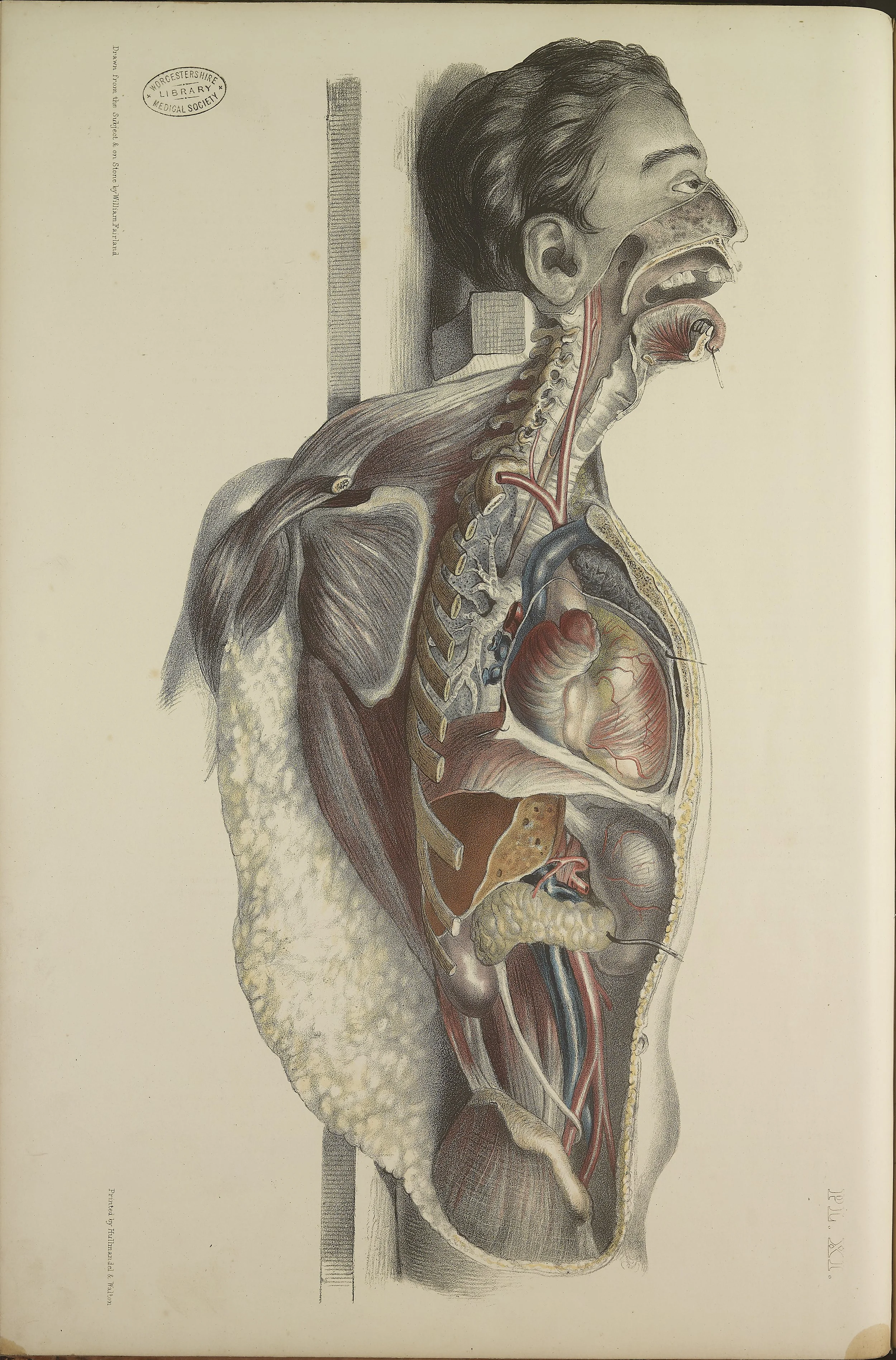 RM0162_35.jpg