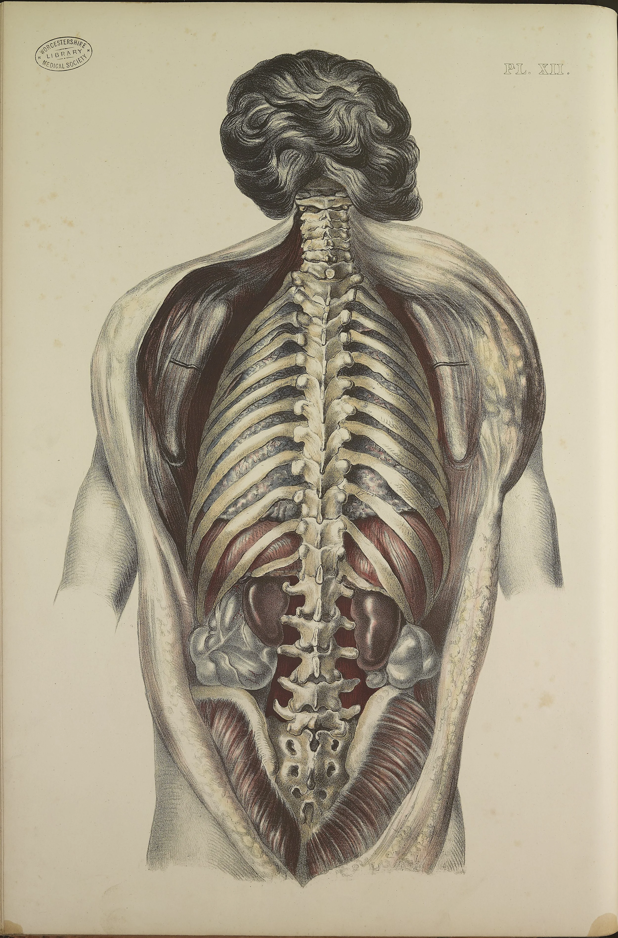 RM0162_38.jpg