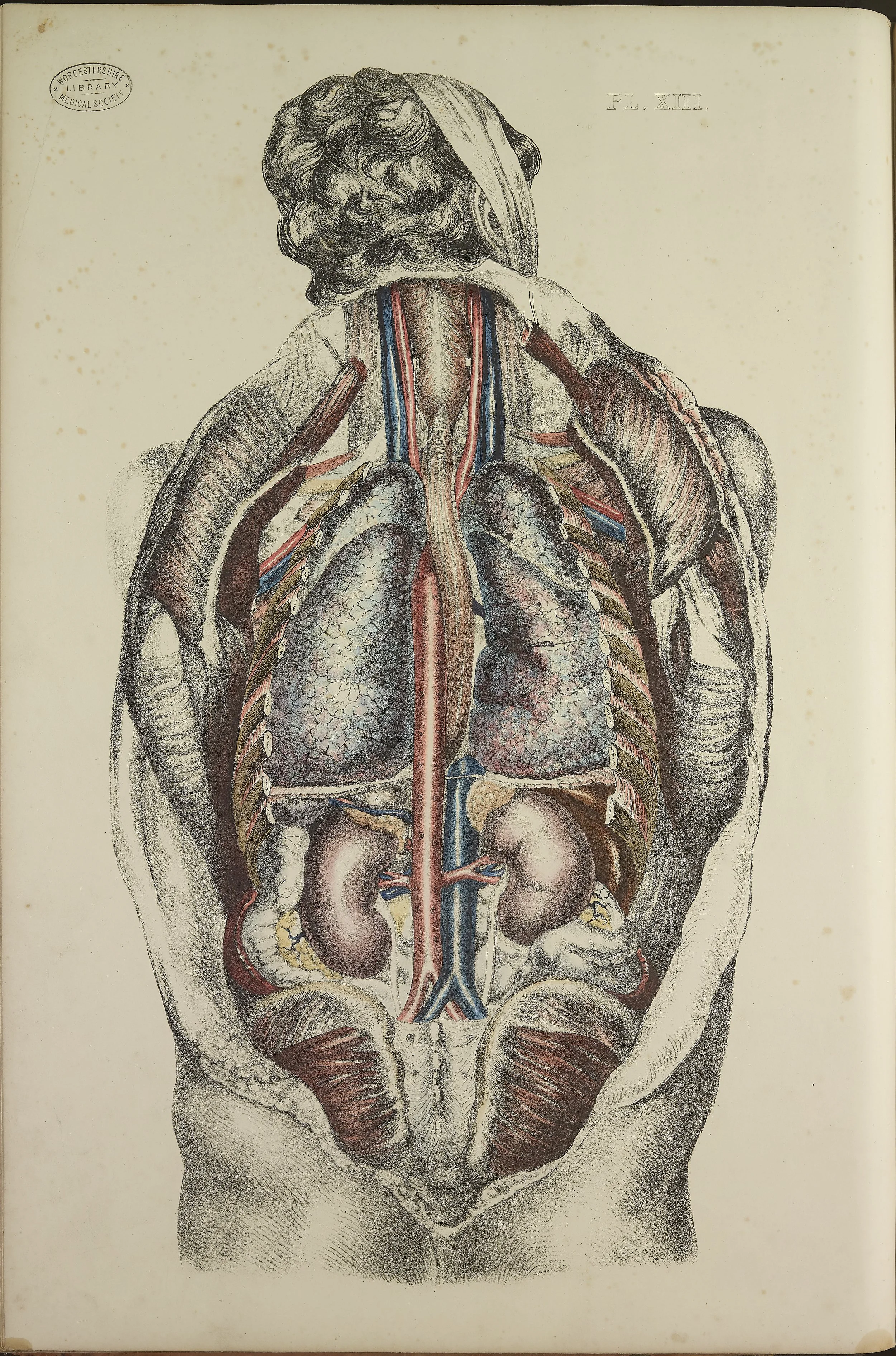 RM0162_41.jpg