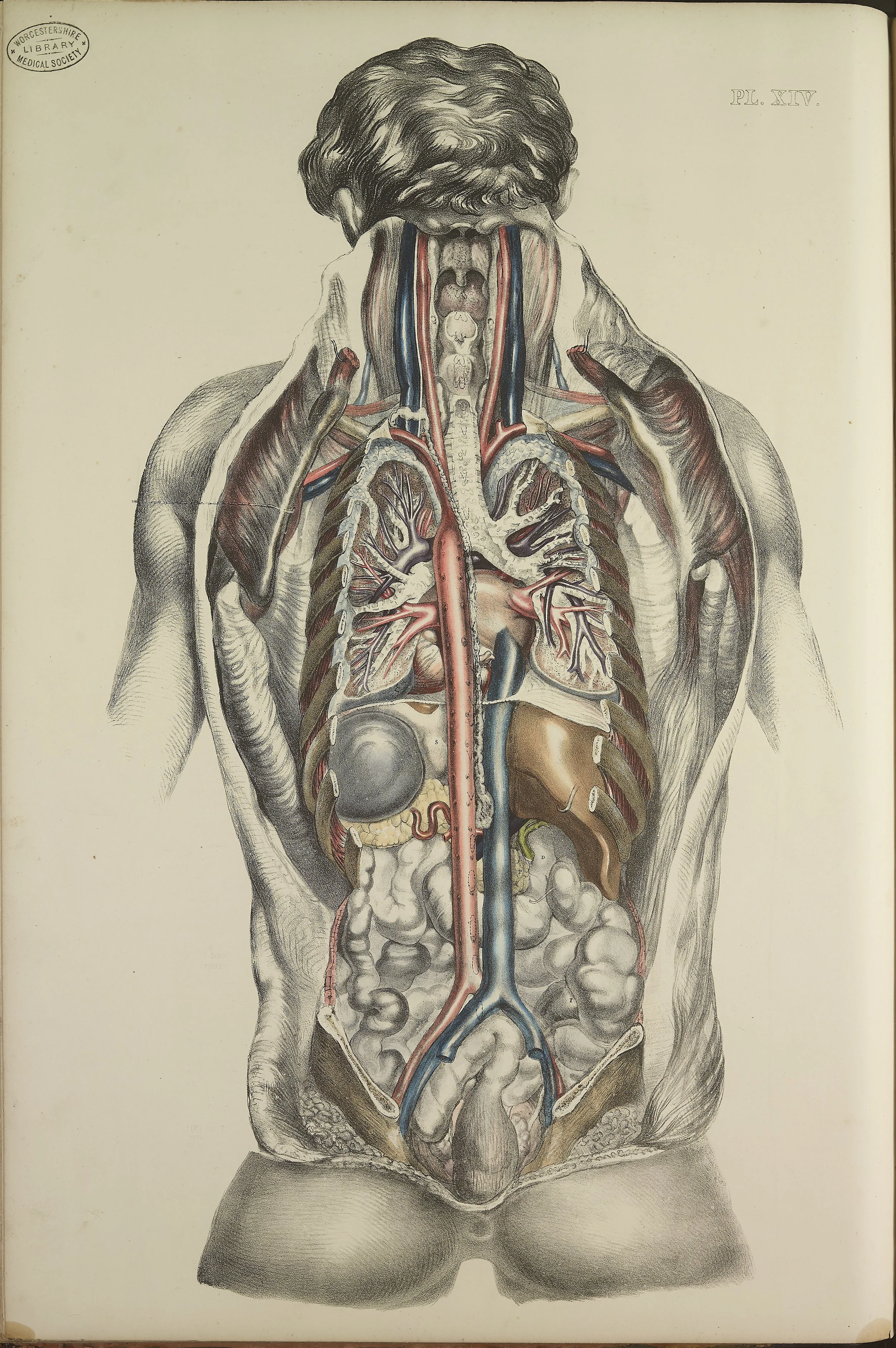 RM0162_44.jpg