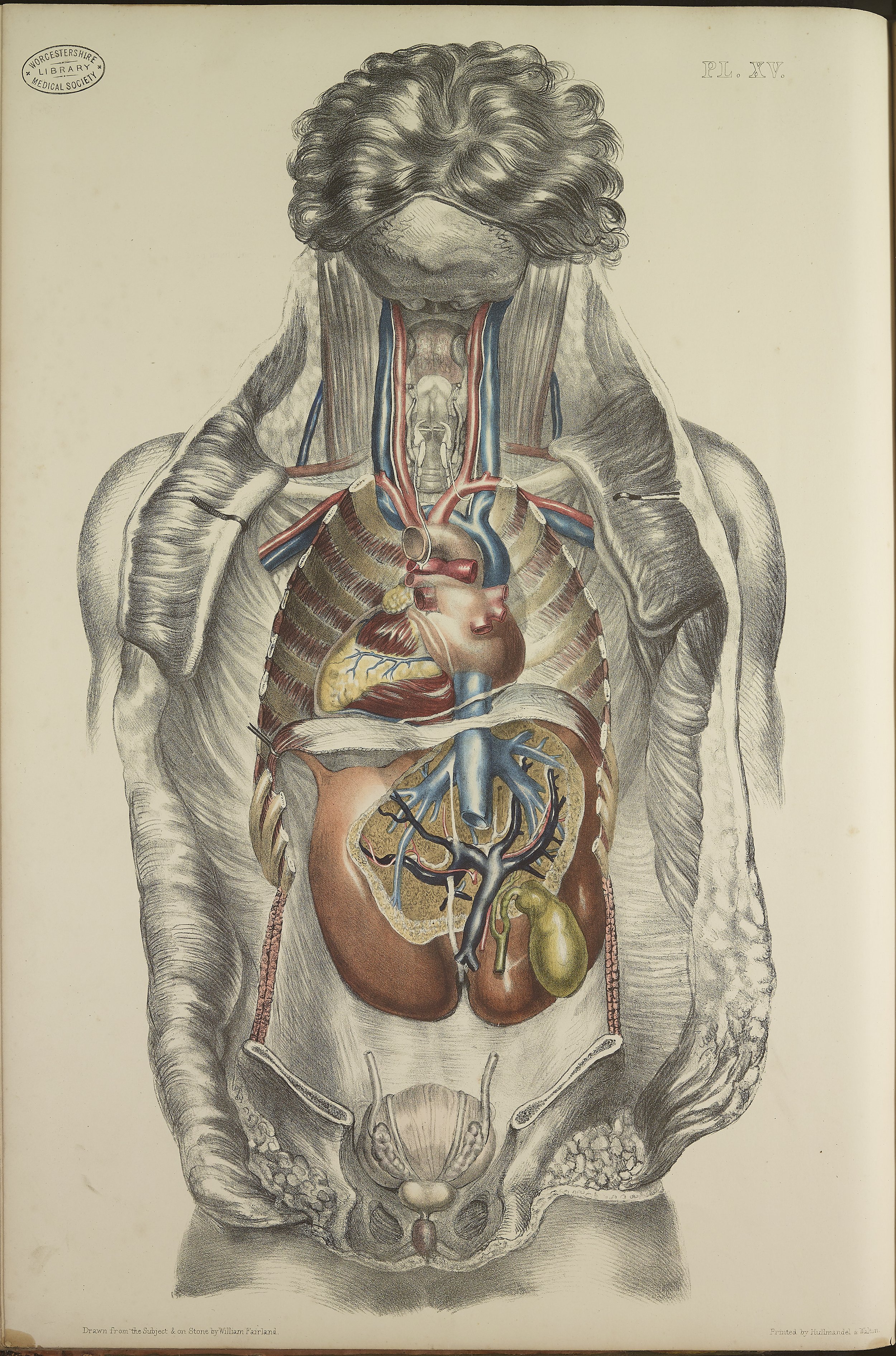 RM0162_47.jpg