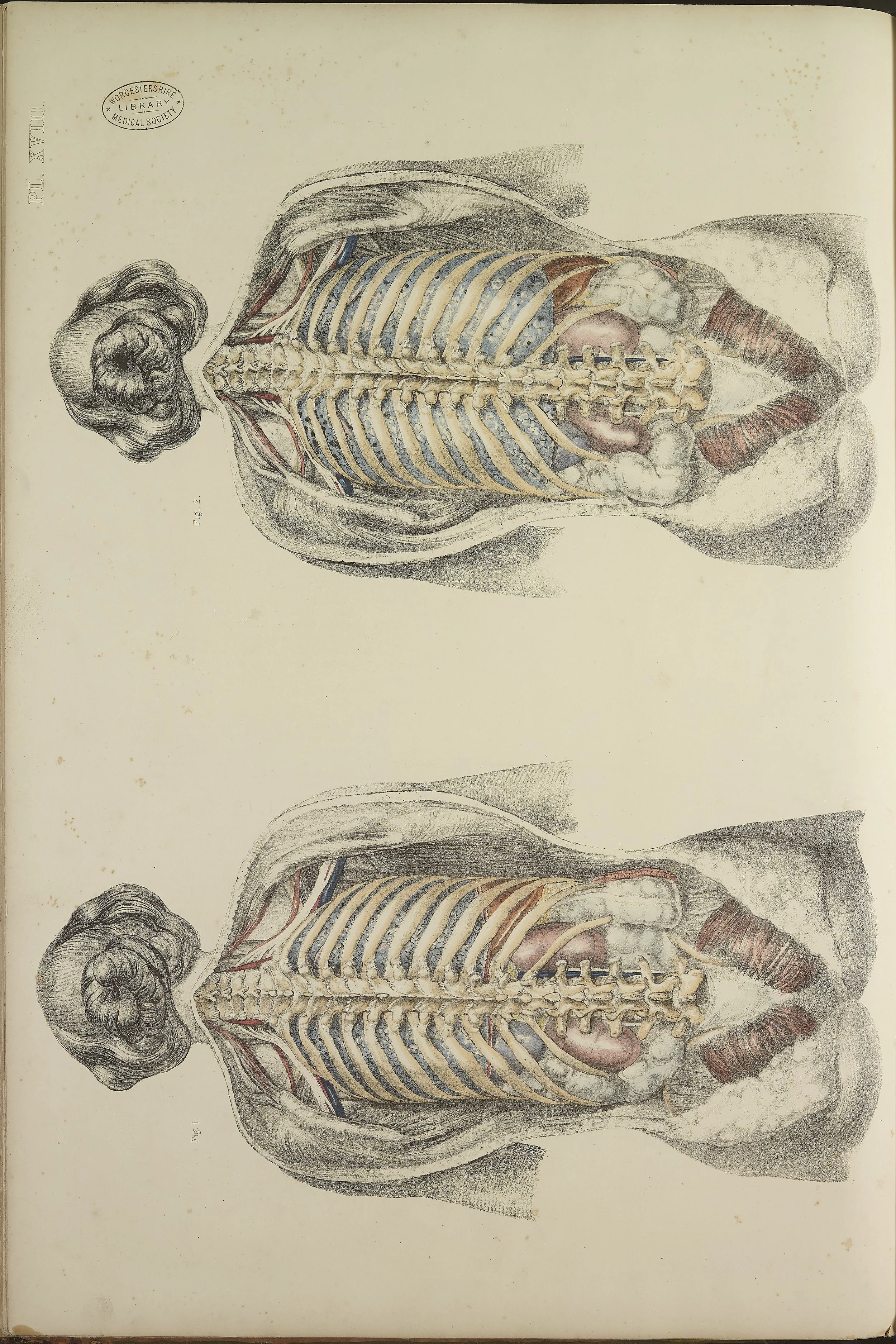 RM0162_56.jpg