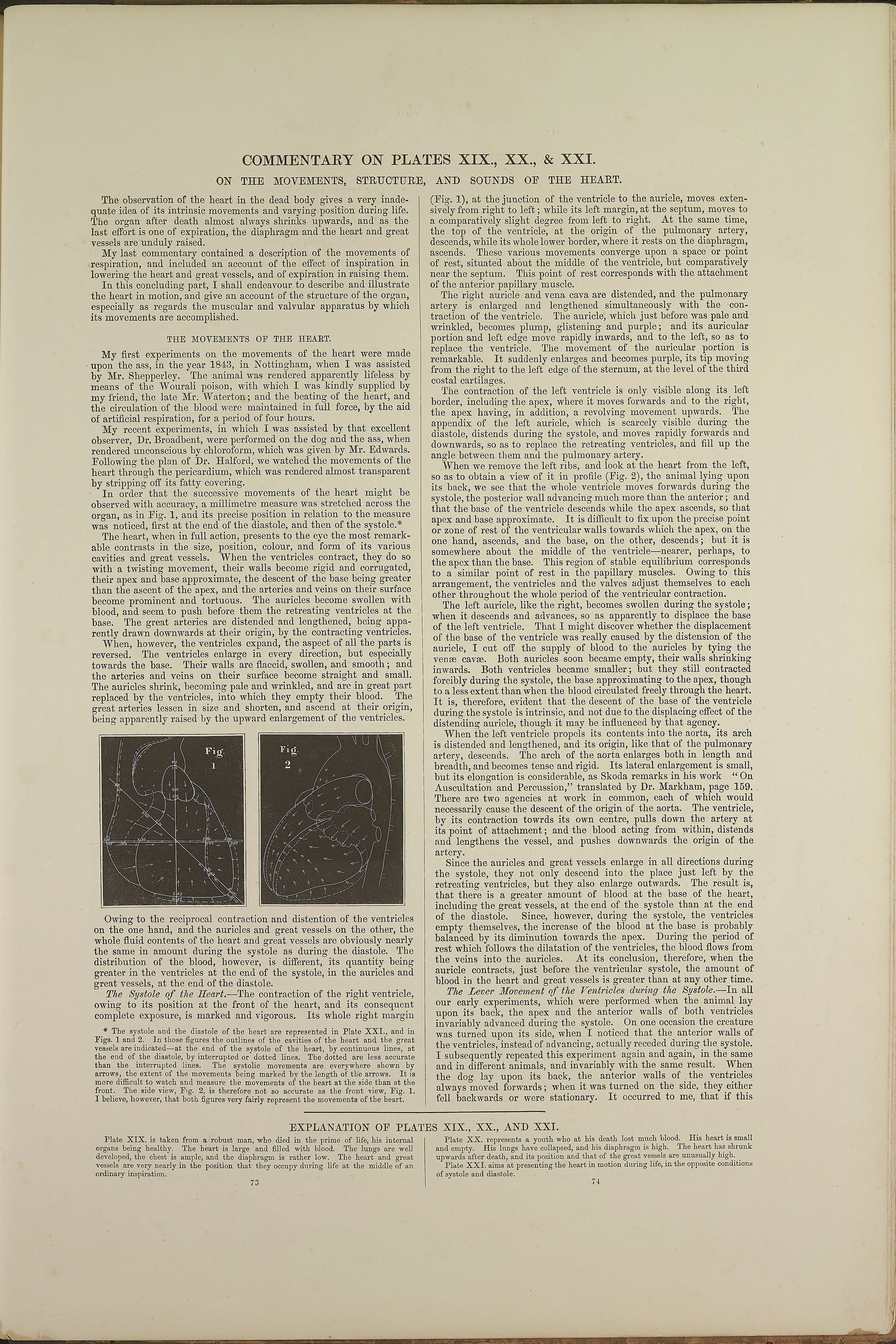 RM0162_60.jpg