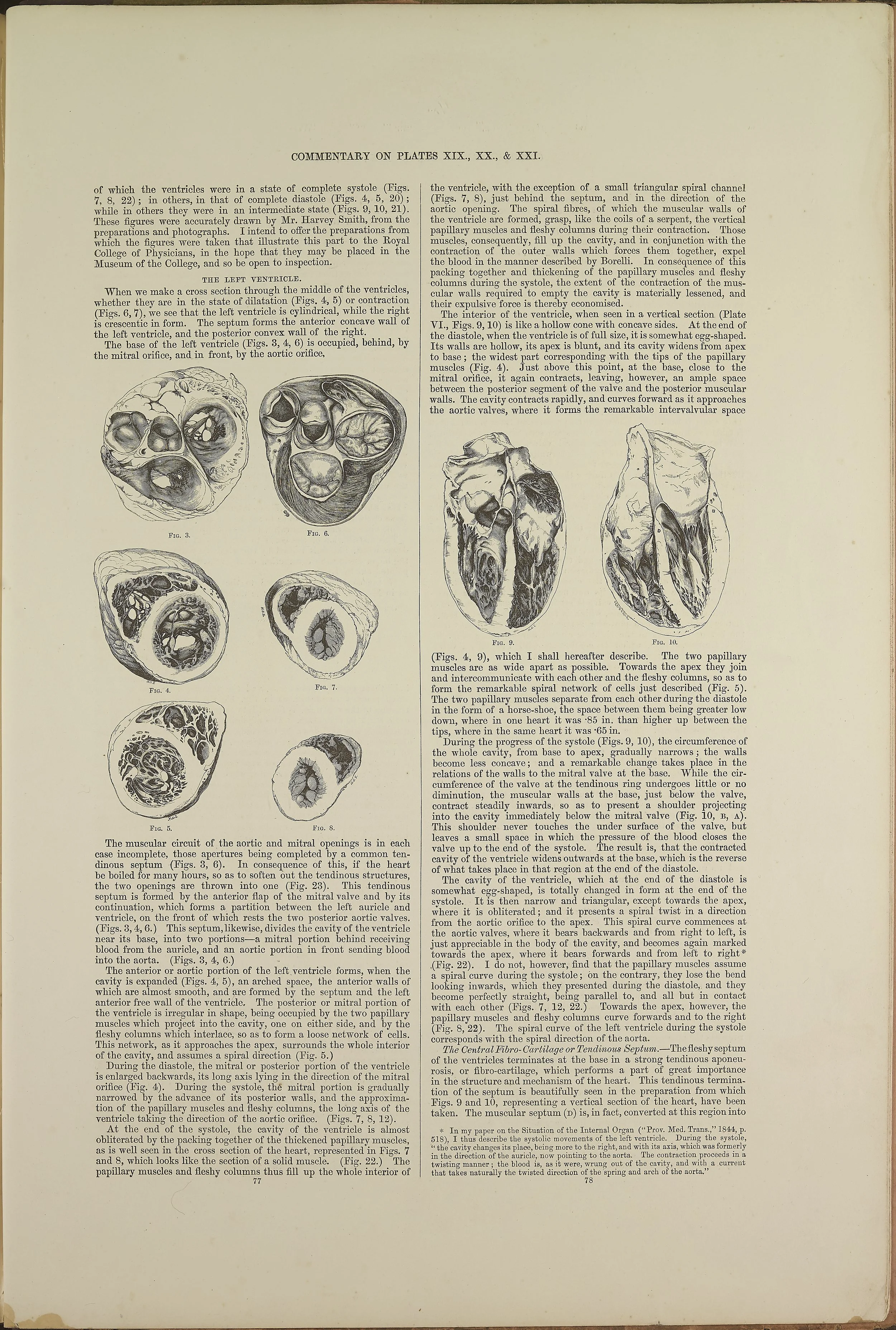 RM0162_63.jpg